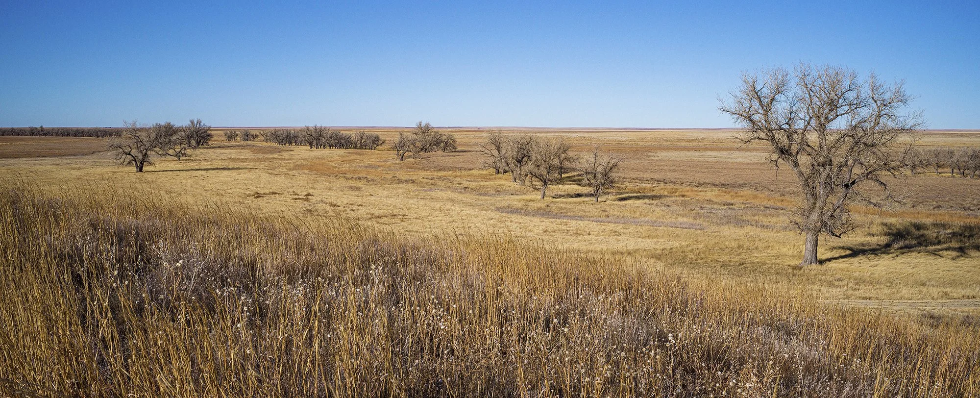 Site of 1864 Sand Creek Massacre. Near Eads, Colorado. 2020.