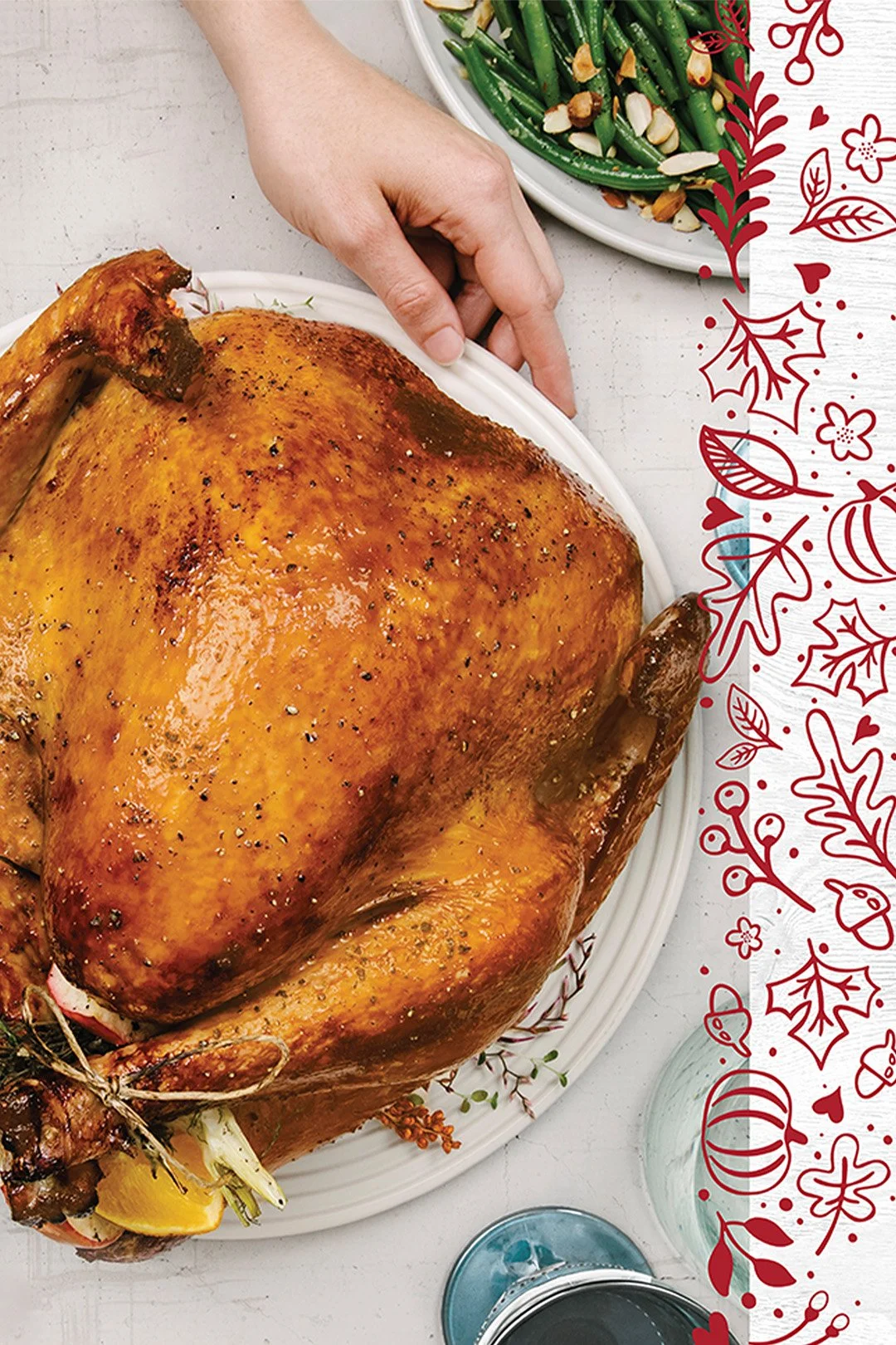 image of a thanksgiving turkey on a plate