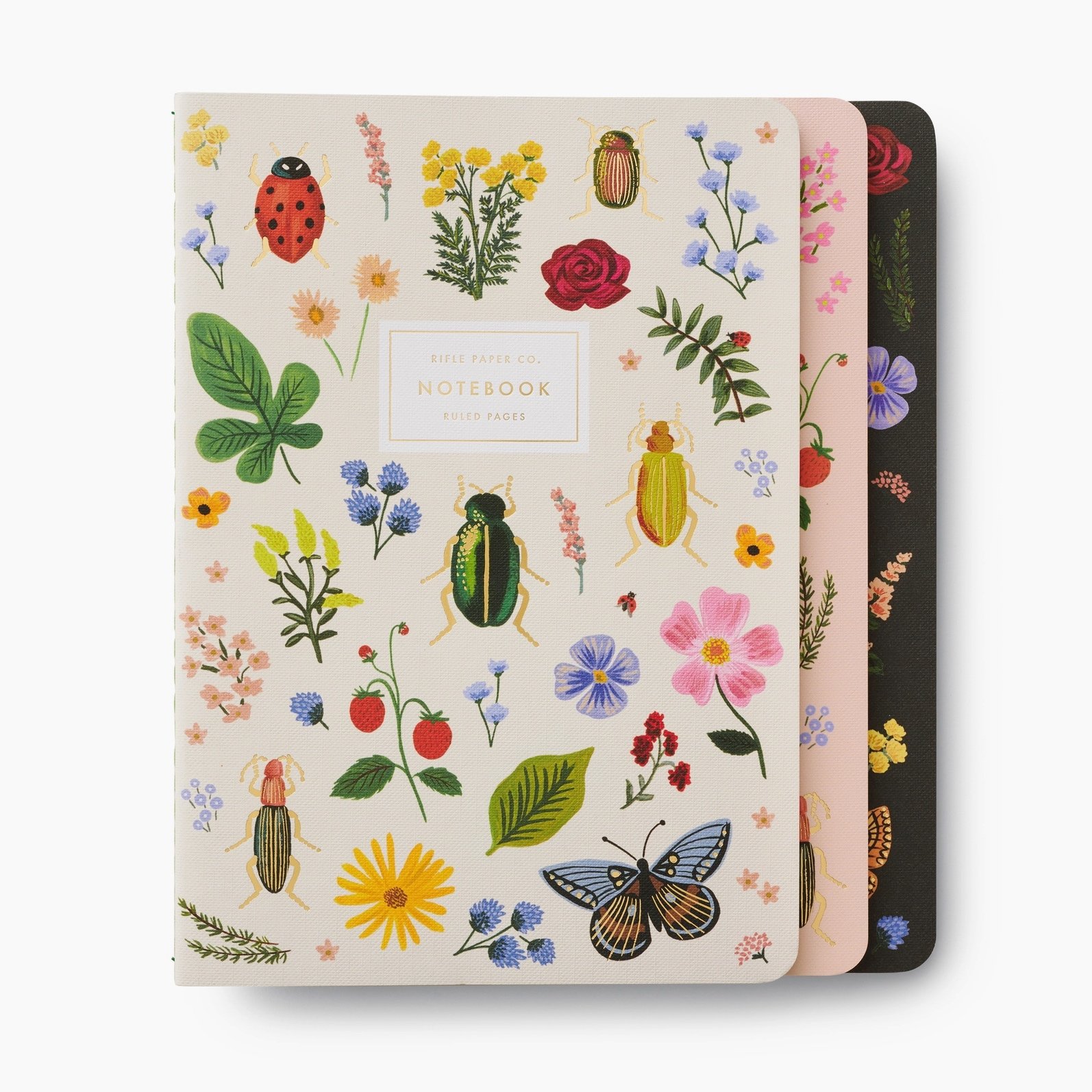 Curio Notebook