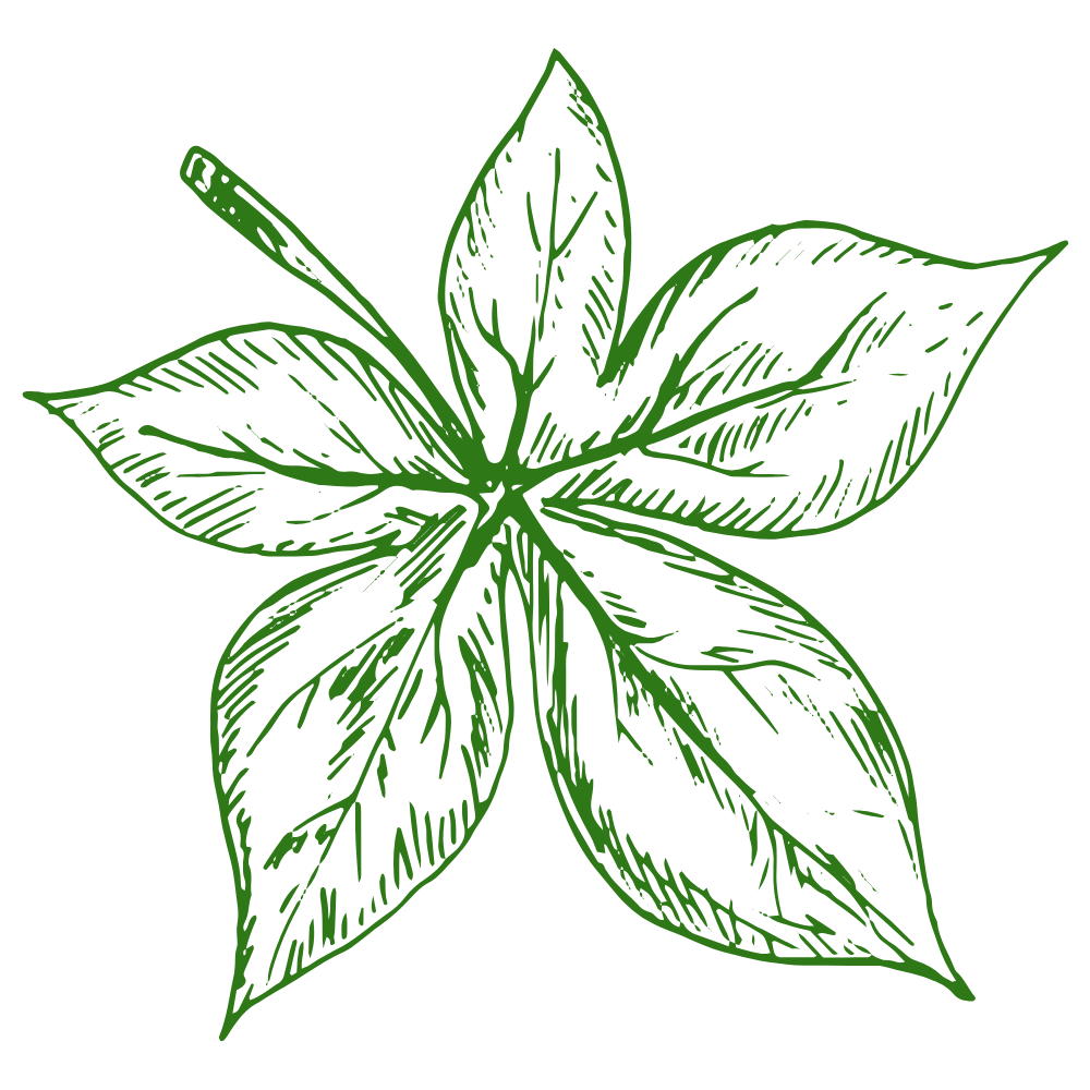 Ohio (3).png