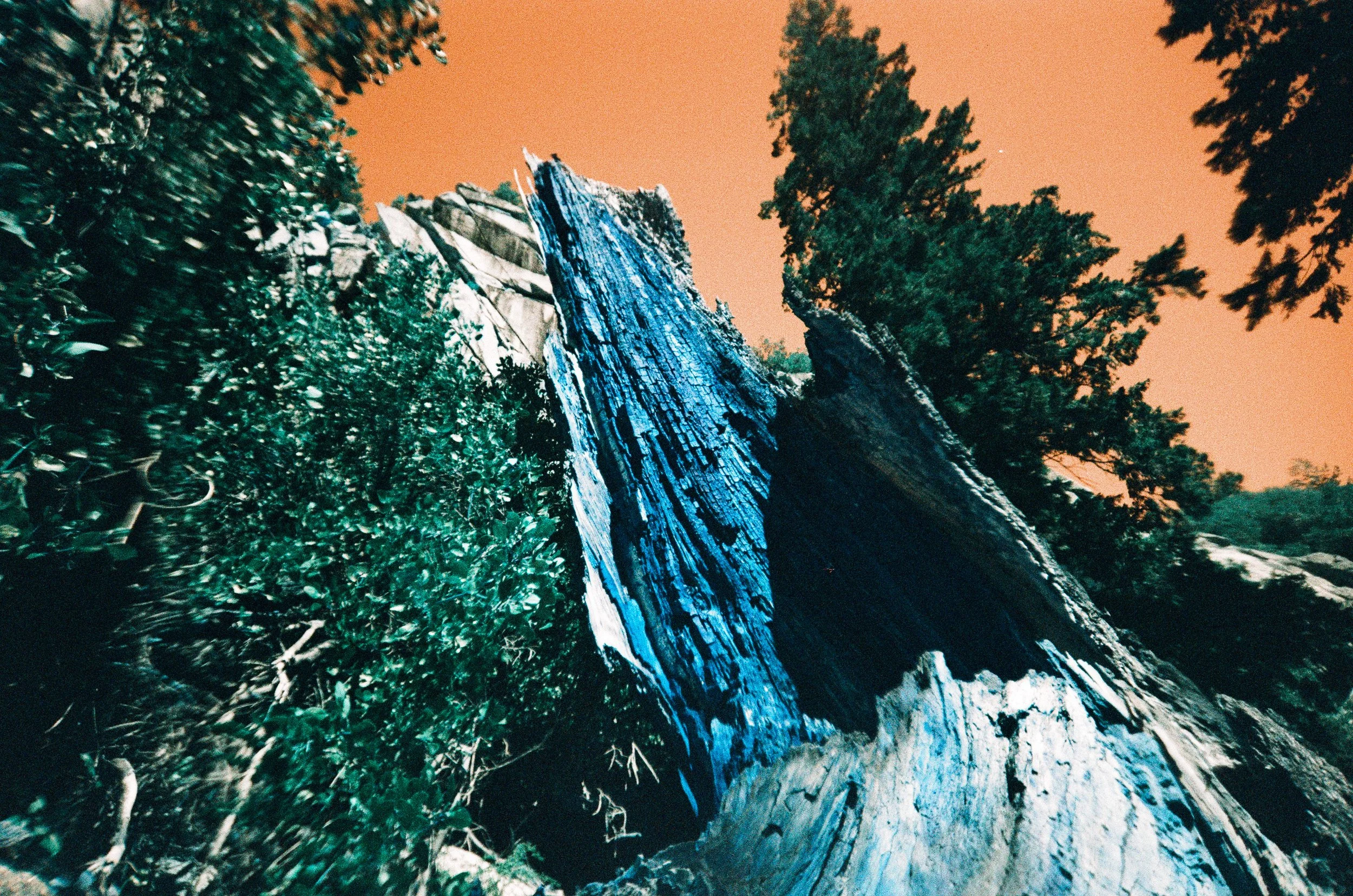 yosemite-2.jpg
