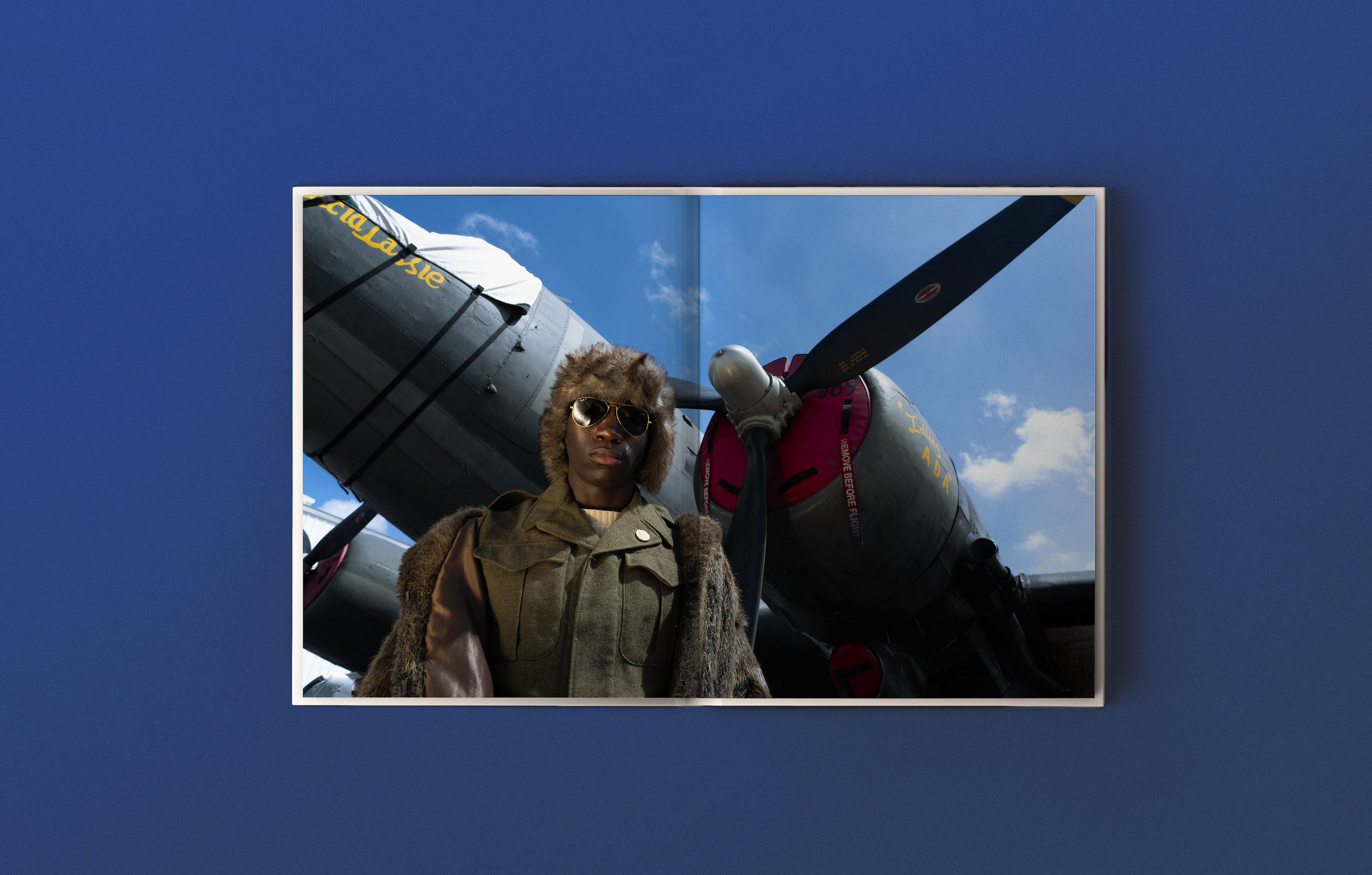 placid lassie6.png