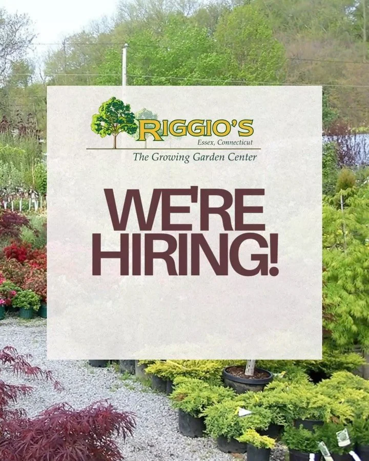 Please call the store with any inquiries and ask for Beth!