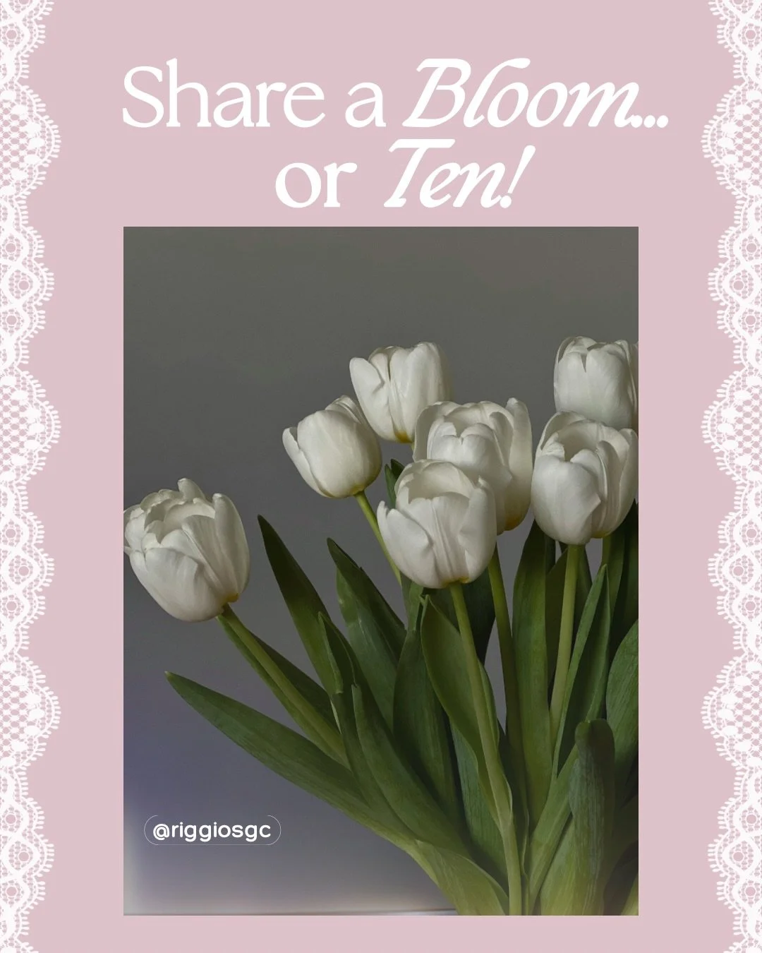 Now selling assorted bunches of tulips🌷 

#ctgardencenter #ctgiftshop #connecticutbusiness #ct #essexconnecticut