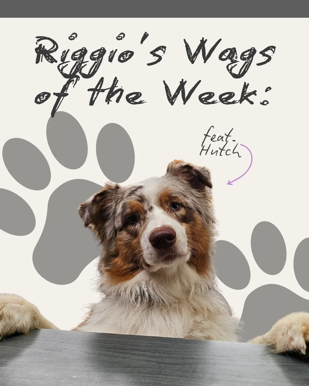 New! Bring in your pup and you are eligible for a free bag of dog treats! Just ask one of our cashiers

Also! We want to feature your pup next! Accepting new in store admissions now🐾
