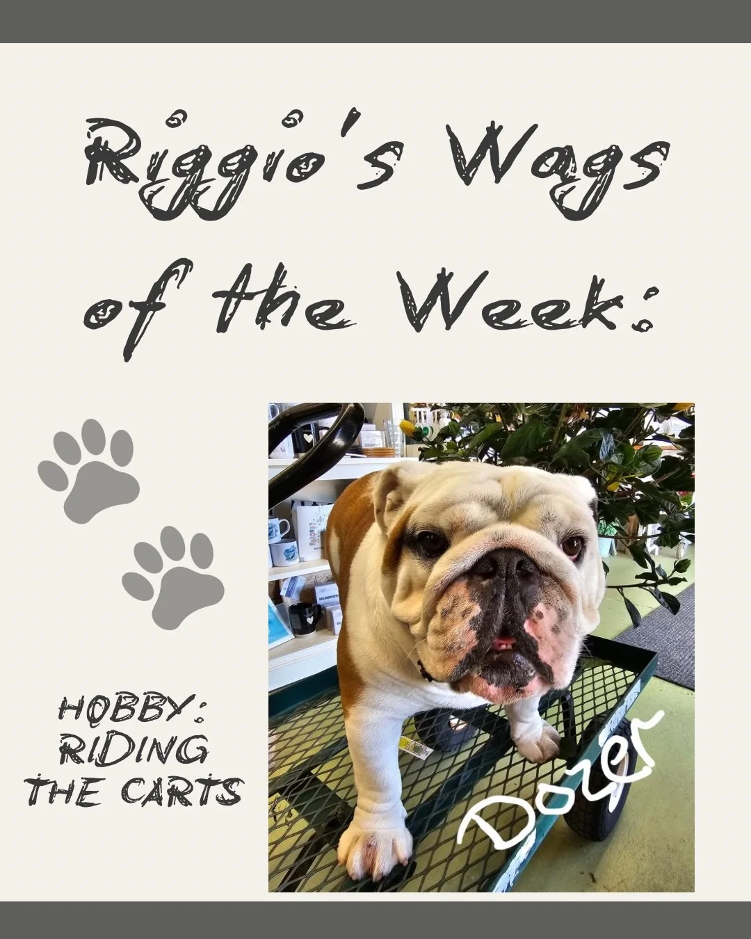 The Wags of the week are in! 🐾