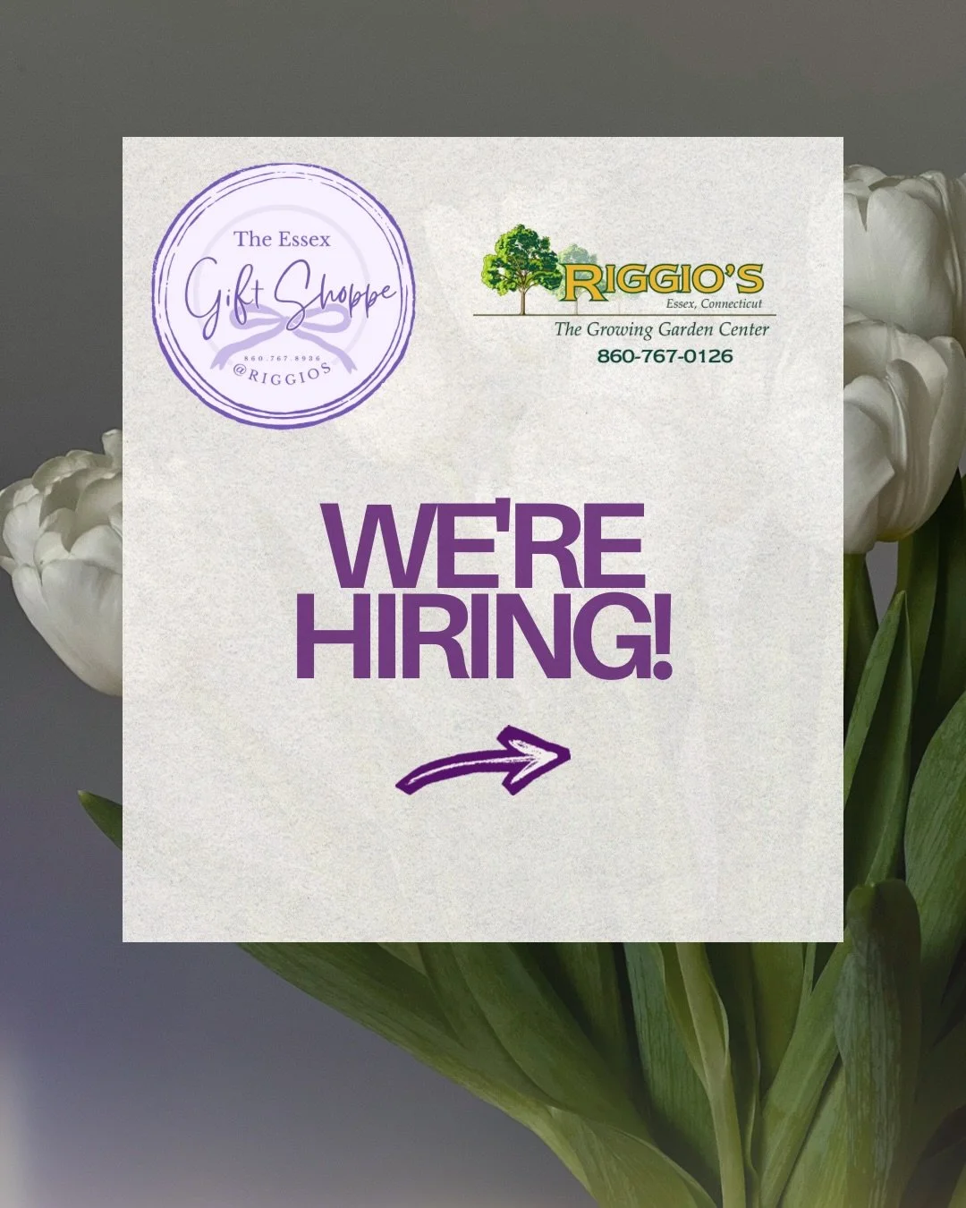 We are hiring at the Essex Gift Shoppe, located within Riggio&rsquo;s Garden center. 

Please call the number listed or inquire within📝

We would love to have you!