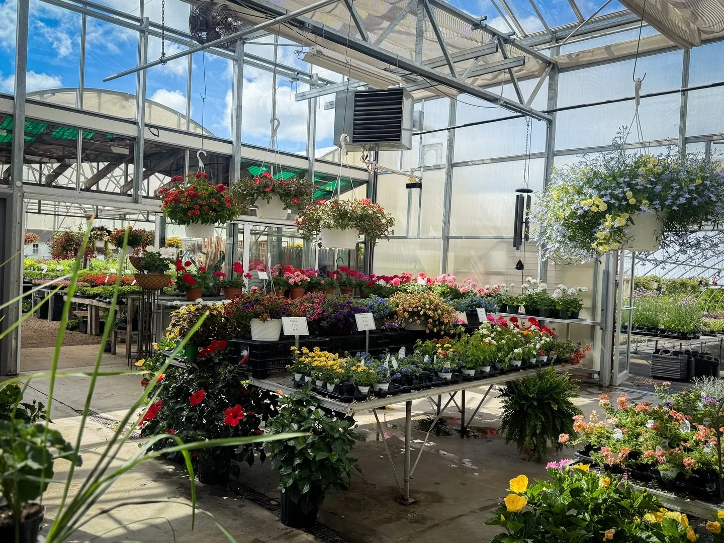 Blooms, everywhere! at @riggiosgc