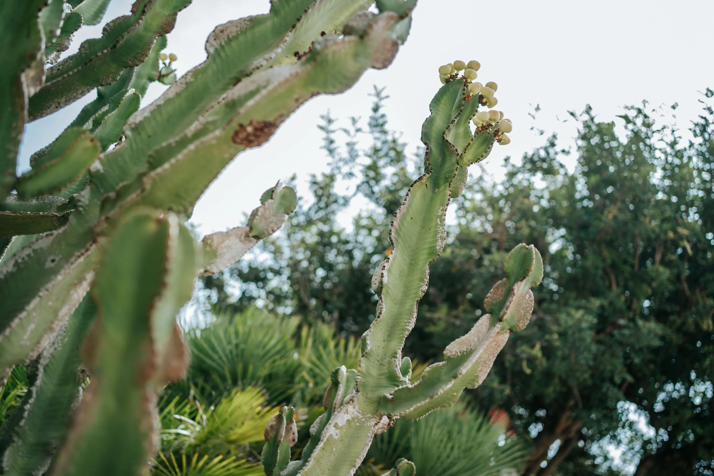 boda andrea & ruben-3.jpg