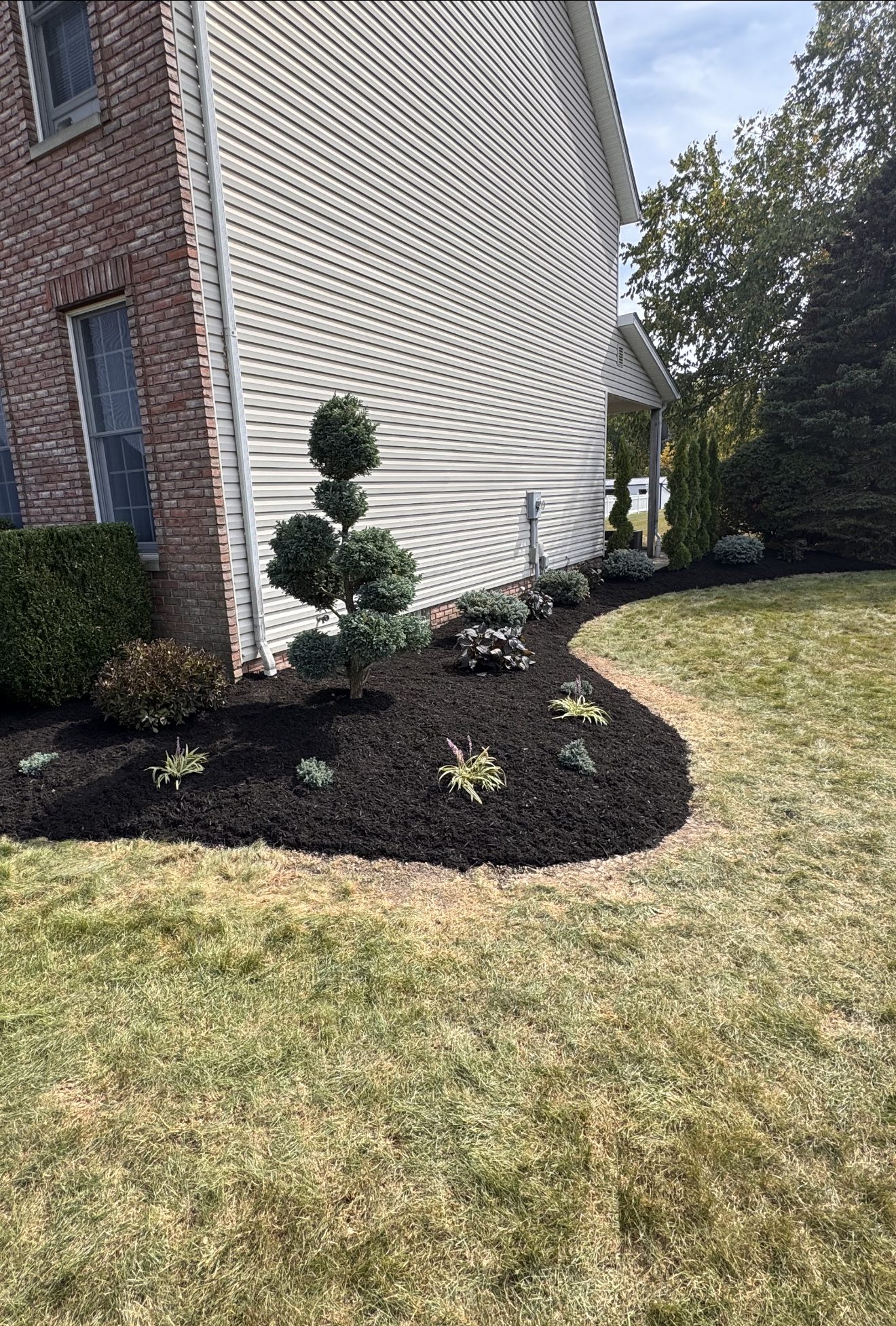 A house with white siding and brick on the side, featuring a landscaped yard with a neatly shaped shrub, smaller plants, and flowers, bordered by dark mulch.