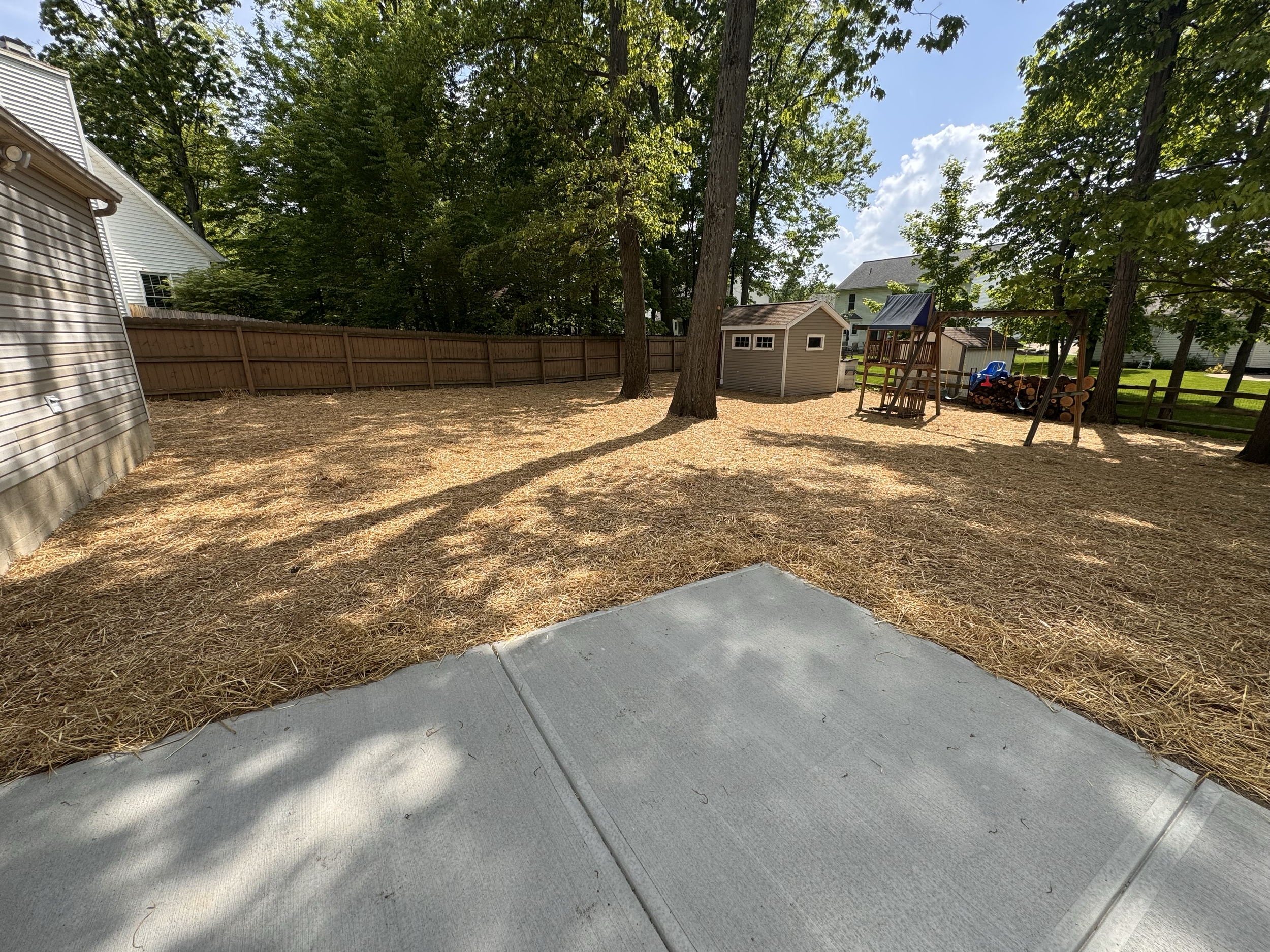 A backyard with a concrete patio, surrounded by straw-covered ground, tall trees, a wooden fence, a small playhouse, a swing set, and a woodpile with some children's toys.