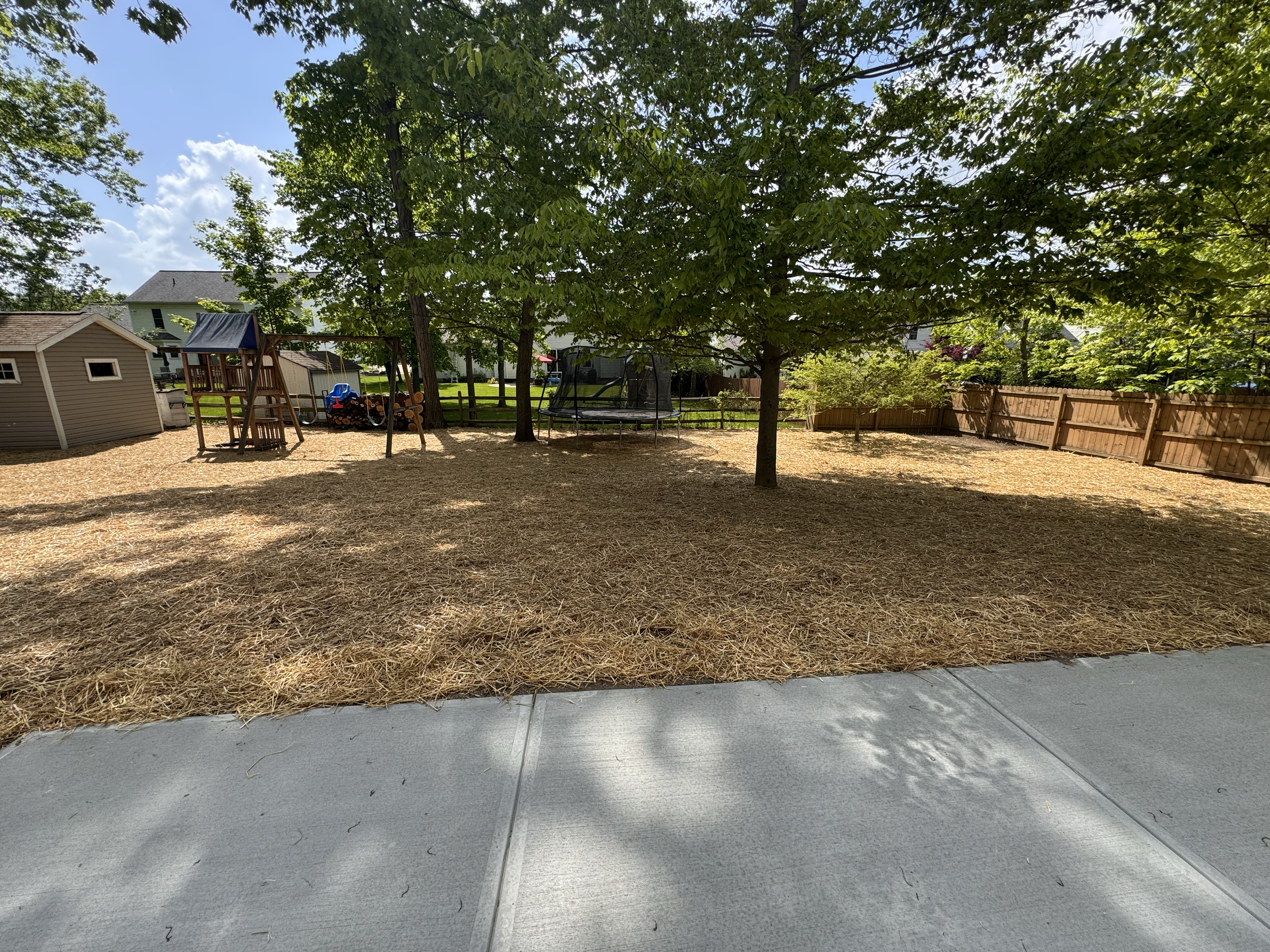 A backyard with a wooden swing set, a trampoline, a small shed, and a fence, with trees providing shade on a sunny day.