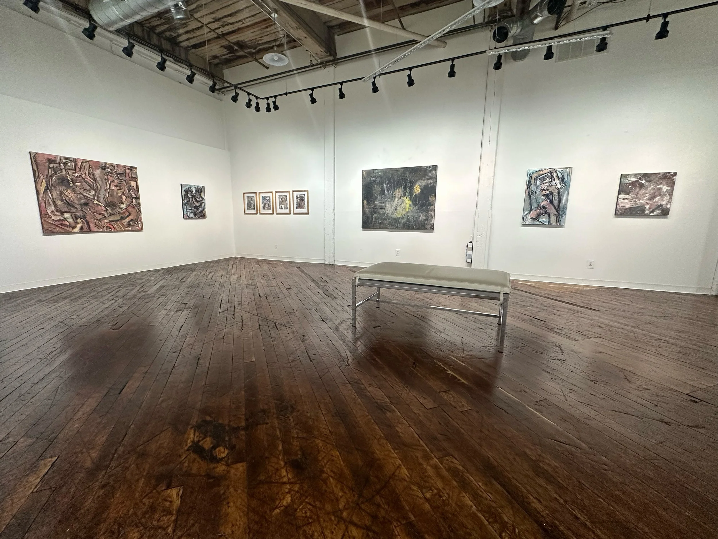 The exhibition Visceral Desires hanging up at KORE Gallery (Louisville, KY) in June 2026.