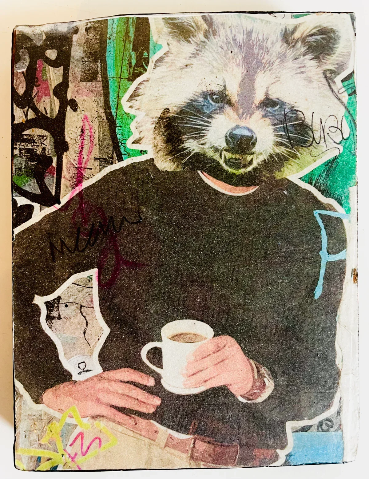 racoon.webp