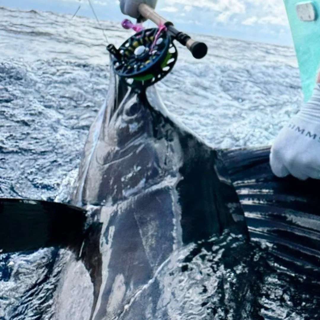 A great way to start the day, a big thanks to Ivan with Abel reels for sending their new SDX Reel with me to demo.

#vonflyfish #landsendoufitters
#jackpotsportfishing