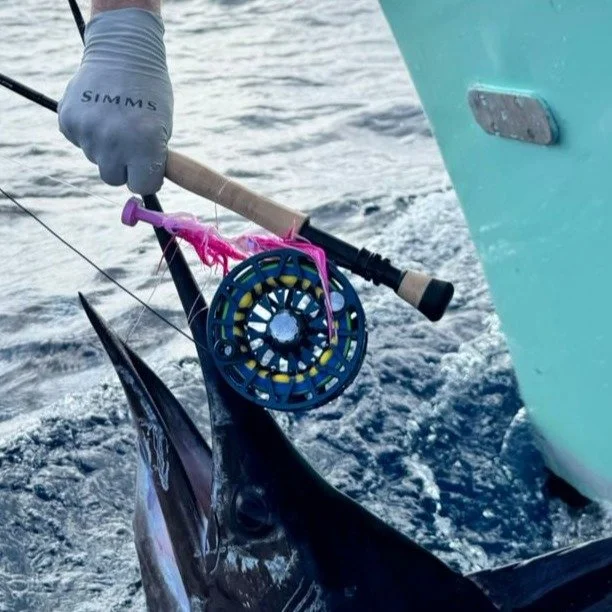 Big thank you to Abel Reels for the SDX Demo

#abelreels #scottflyrods