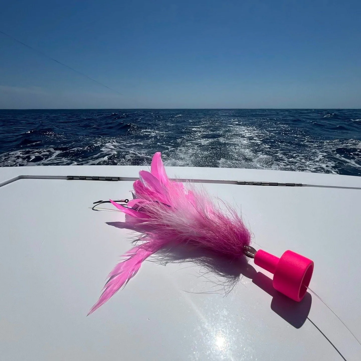 We have a whole new line of Billfish Flies now available.

#landsendoutfitters #rainysflies #jackpotsportfishing #abelreels