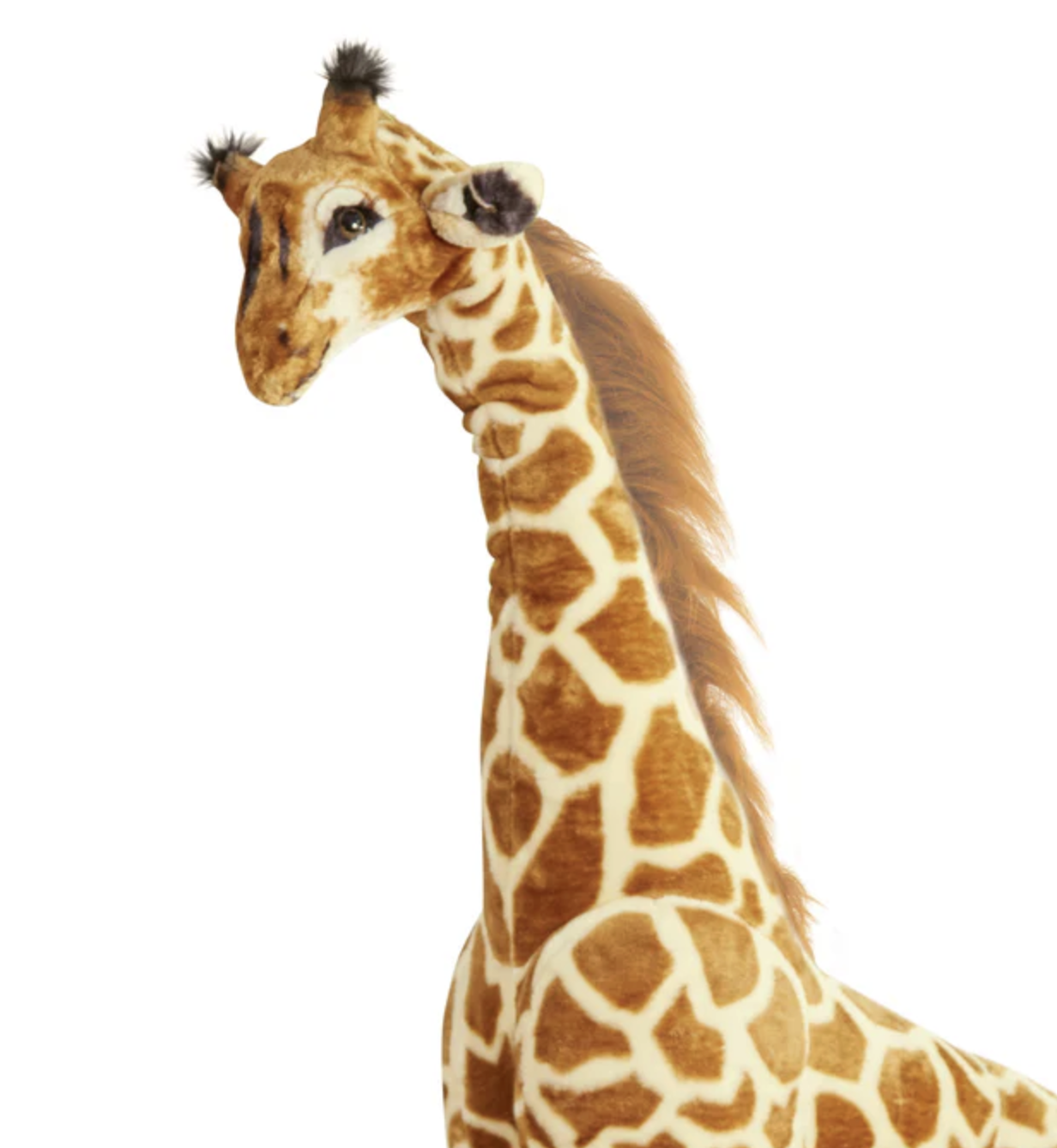 Screenshot 2026-03-16 at 2.22.48 PM.png