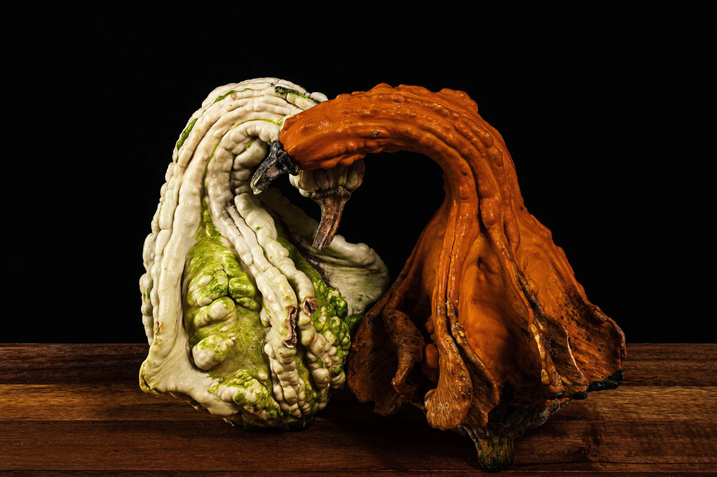 20221123-_DSC9145-Edit.jpg