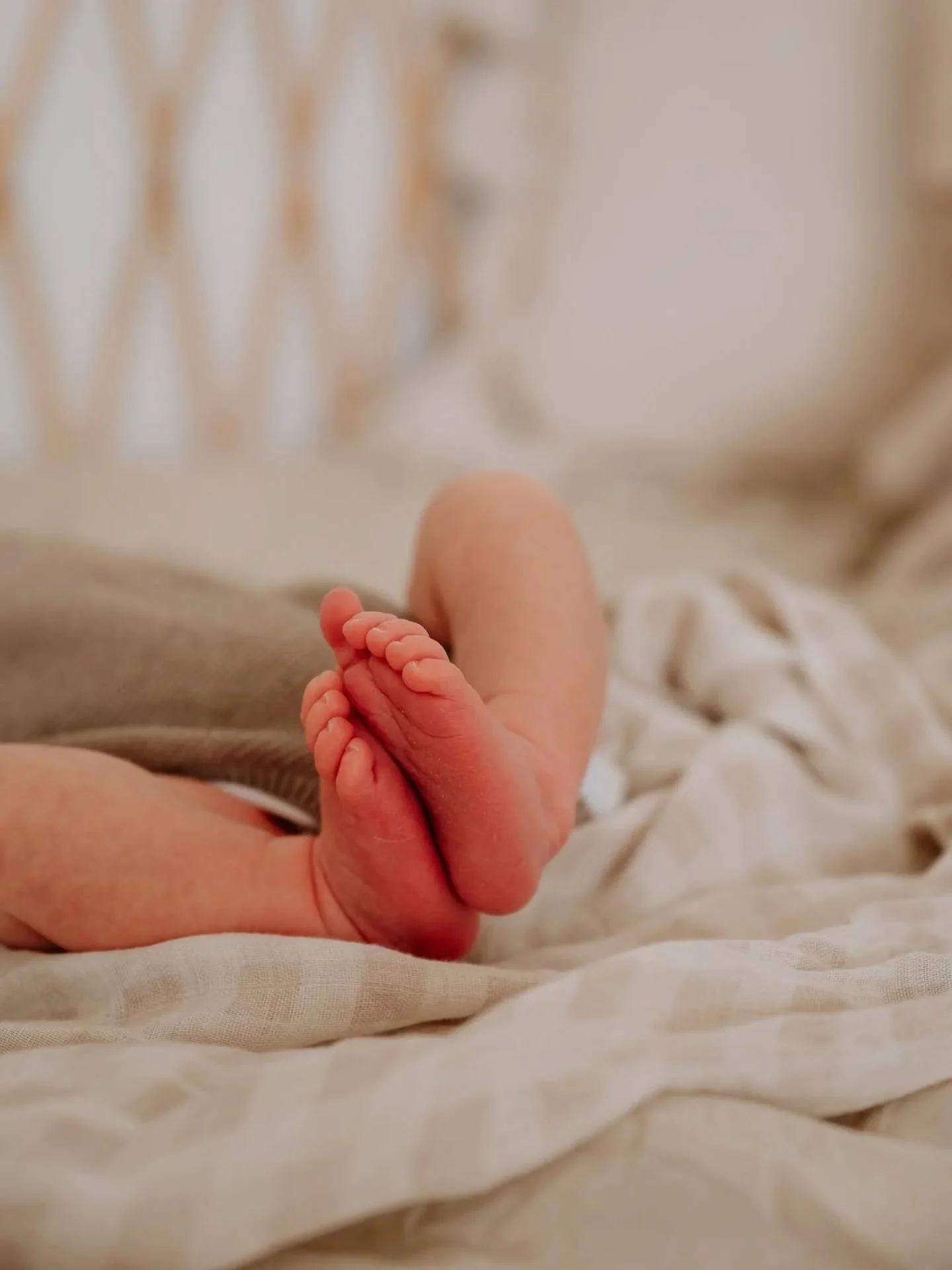 The tiniest toes, the softest wrinkles, the sweetest little details you never want to forget 🕊️

That&rsquo;s what my newborn sessions are all about &mdash; slowing down, soaking it all in, and capturing these fleeting moments before they change aga