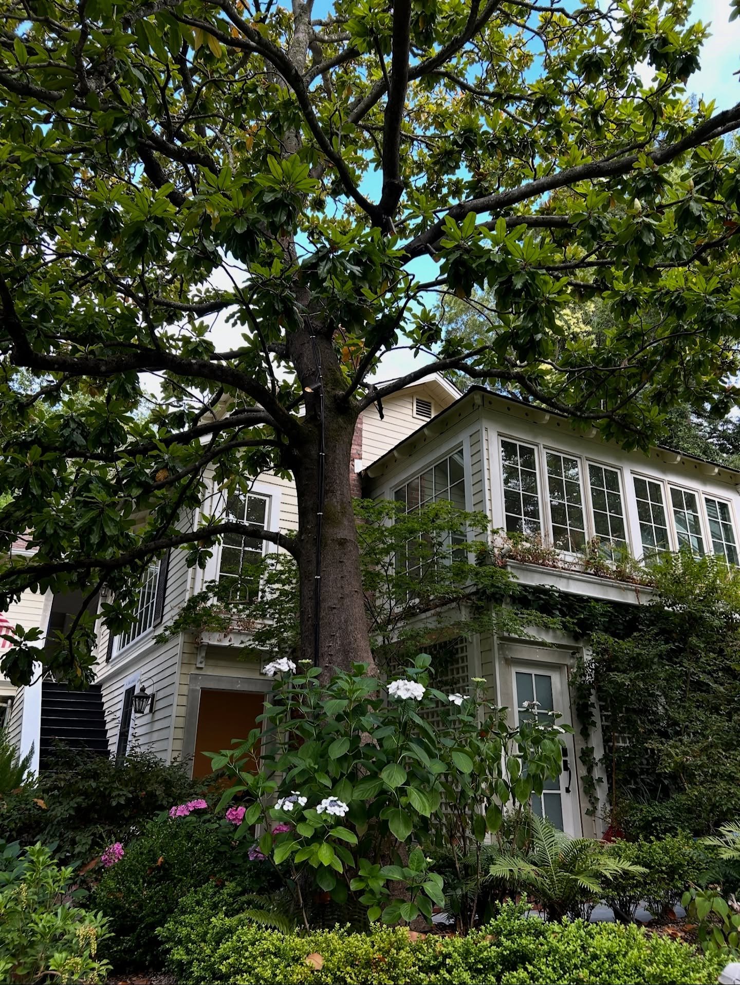 Digging Deeper | New Project Reveal
We&rsquo;re kicking off a major transformation at this classic hillside home&mdash;and this one&rsquo;s all about working smarter with what&rsquo;s already here.

🔹 More Space, Same Footprint: After a sharp eye fr