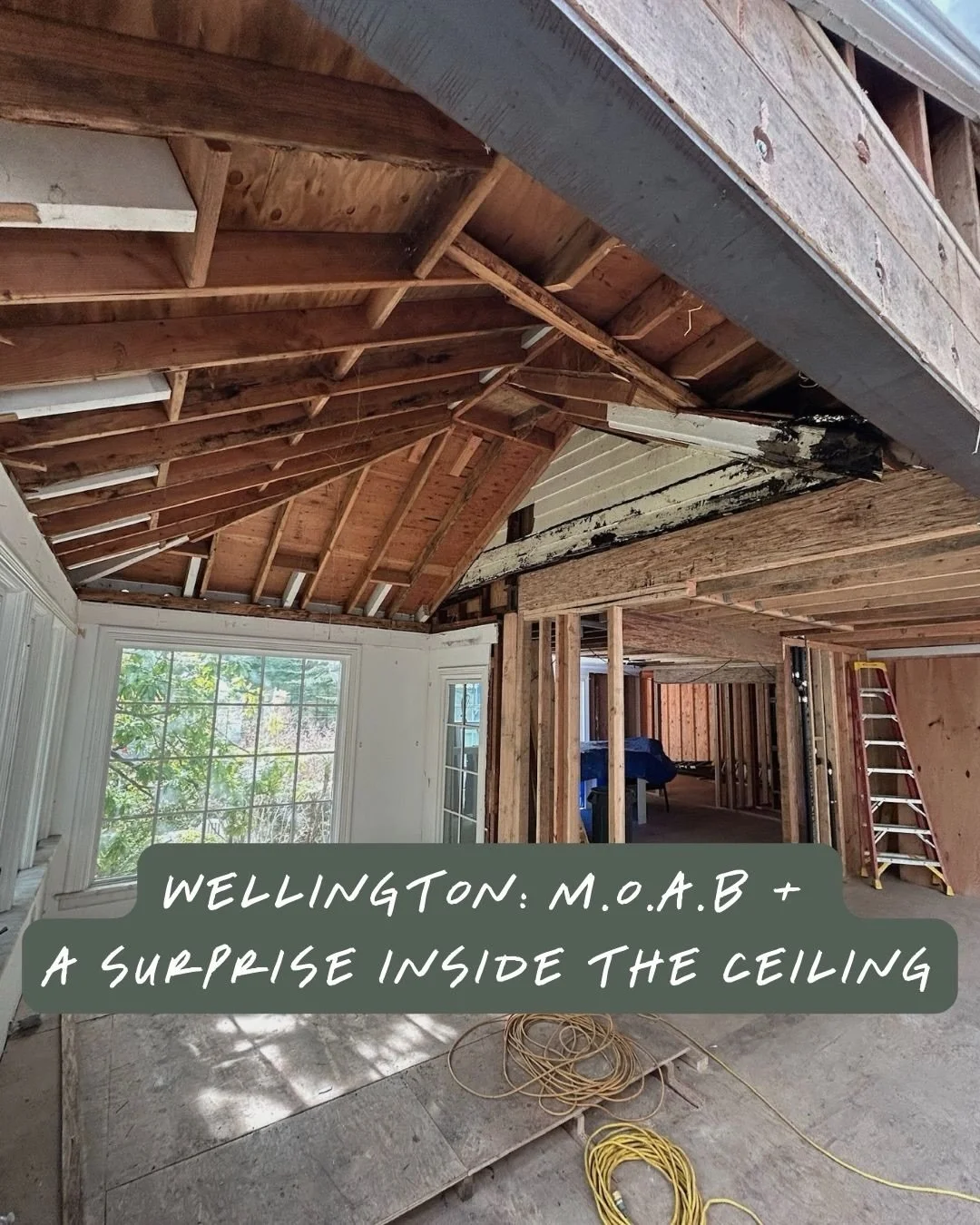 65 Wellington | Framing Discovery + The MOAB

One of the fun parts of working on older homes is discovering what&rsquo;s hidden inside them.

🔹 Unexpected Find Over the stairwell connecting the downstairs and upstairs, the plans originally called fo