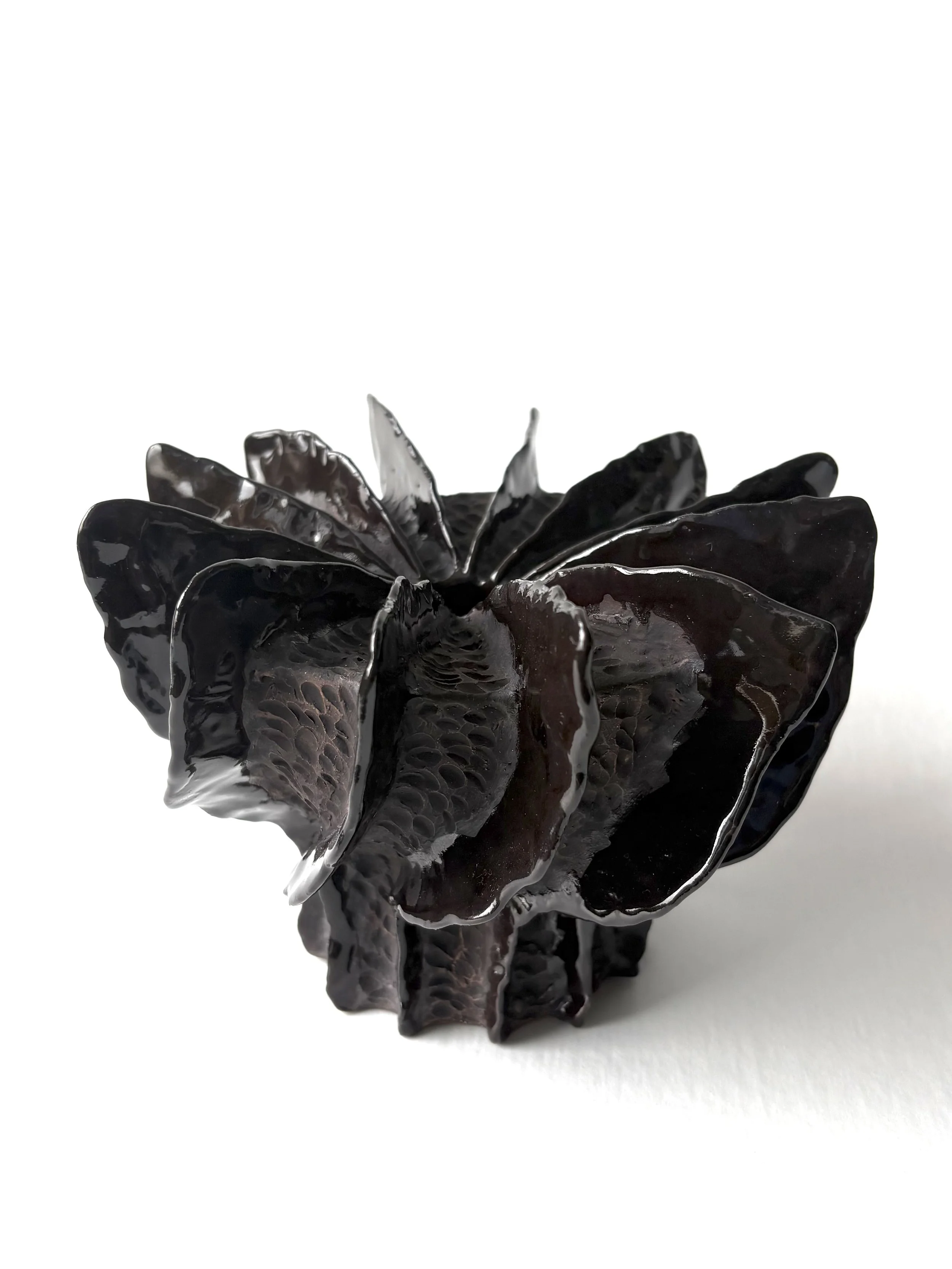Dark Wings #2