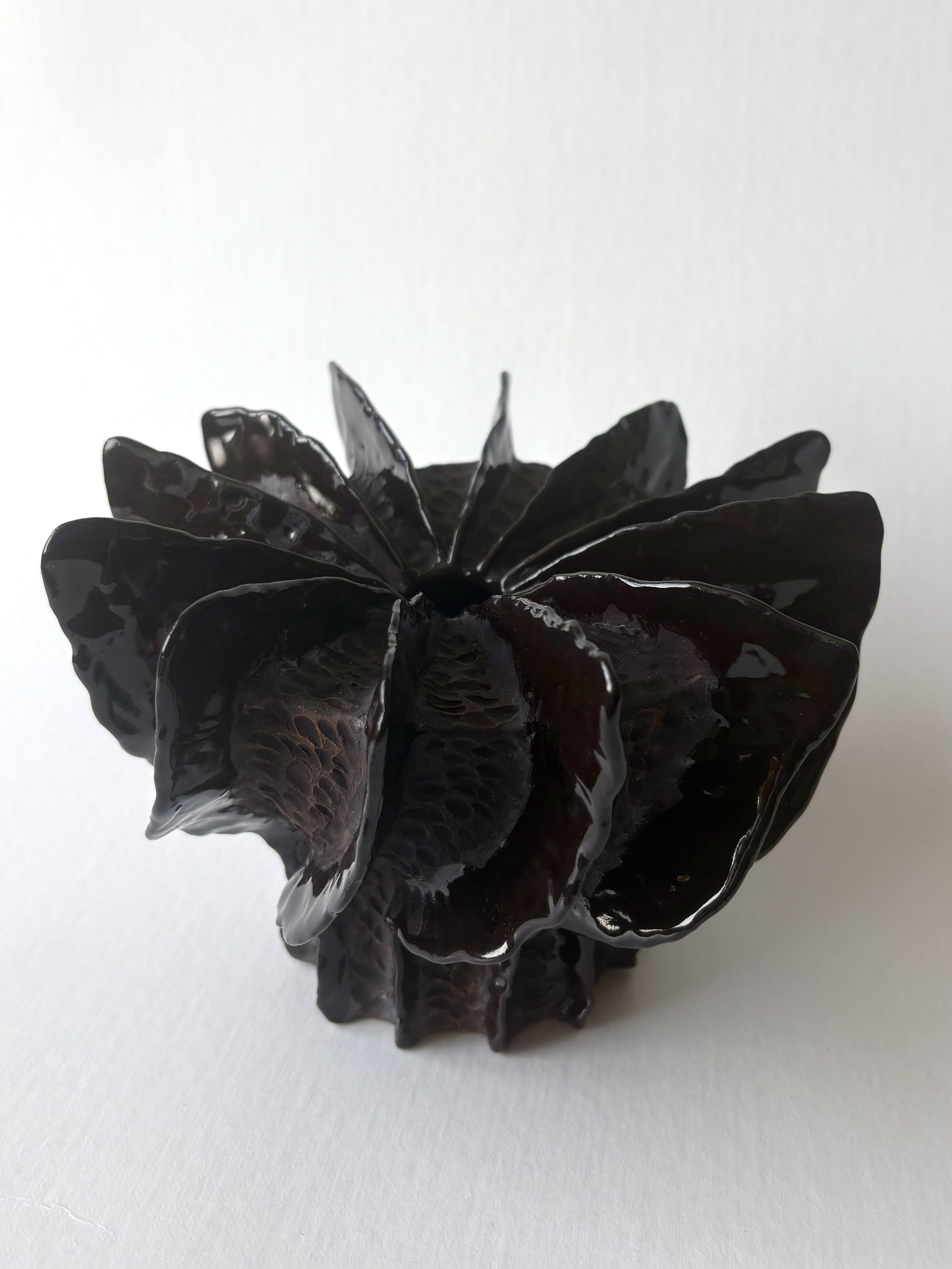 Dark Wings No. 2