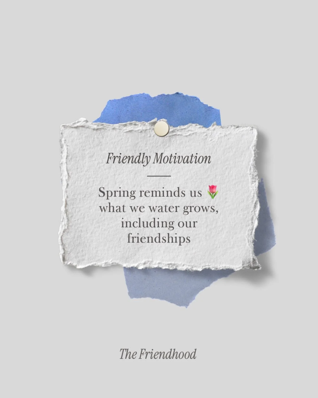 Spring has a way of reminding us what really matters 🌷

What we nurture, what we show up for, what we choose to grow.

This season I&rsquo;m grateful for the friendships that are rooted in love, watered with intention, and growing right alongside me