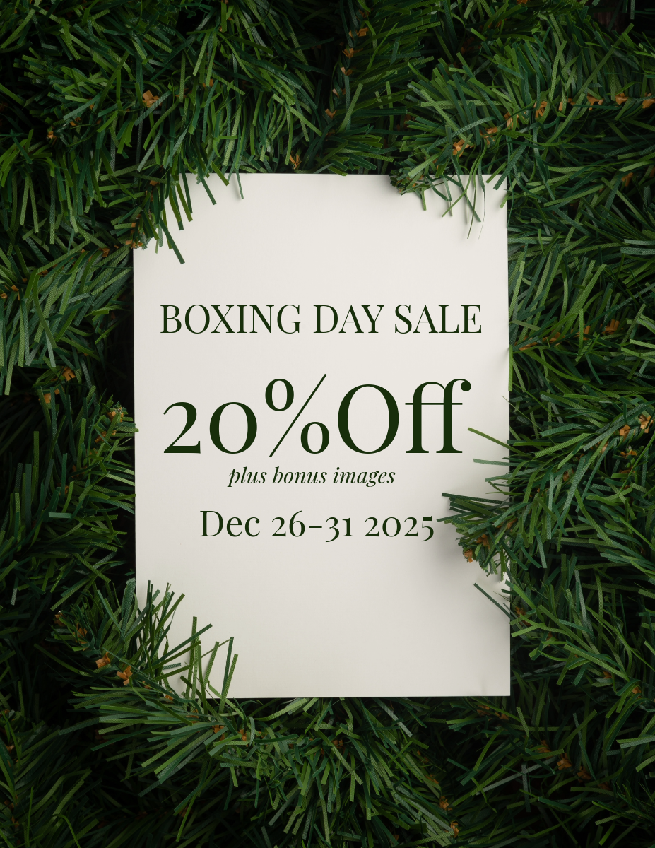 BOXING DAY SALE - FULL SESSION