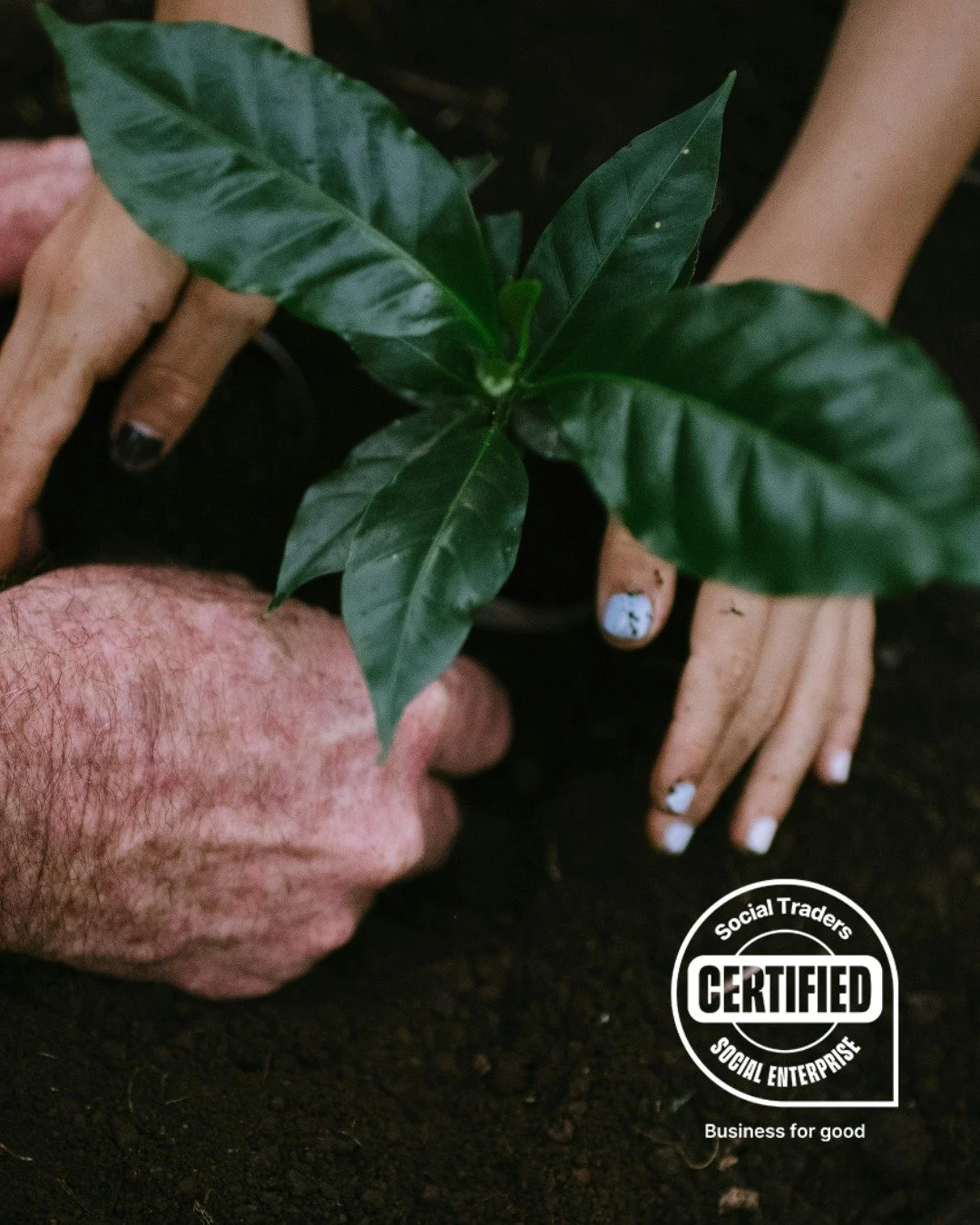 Lively is proud to be a Social Traders certified social enterprise 🎖️
Being Social Traders Certified means our business has been independently verified as a genuine social enterprise — one that prioritises purpose over profit. @socialtraders_