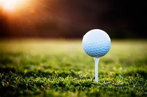 Muskoka Rotary Golf Tournament a Hole In One