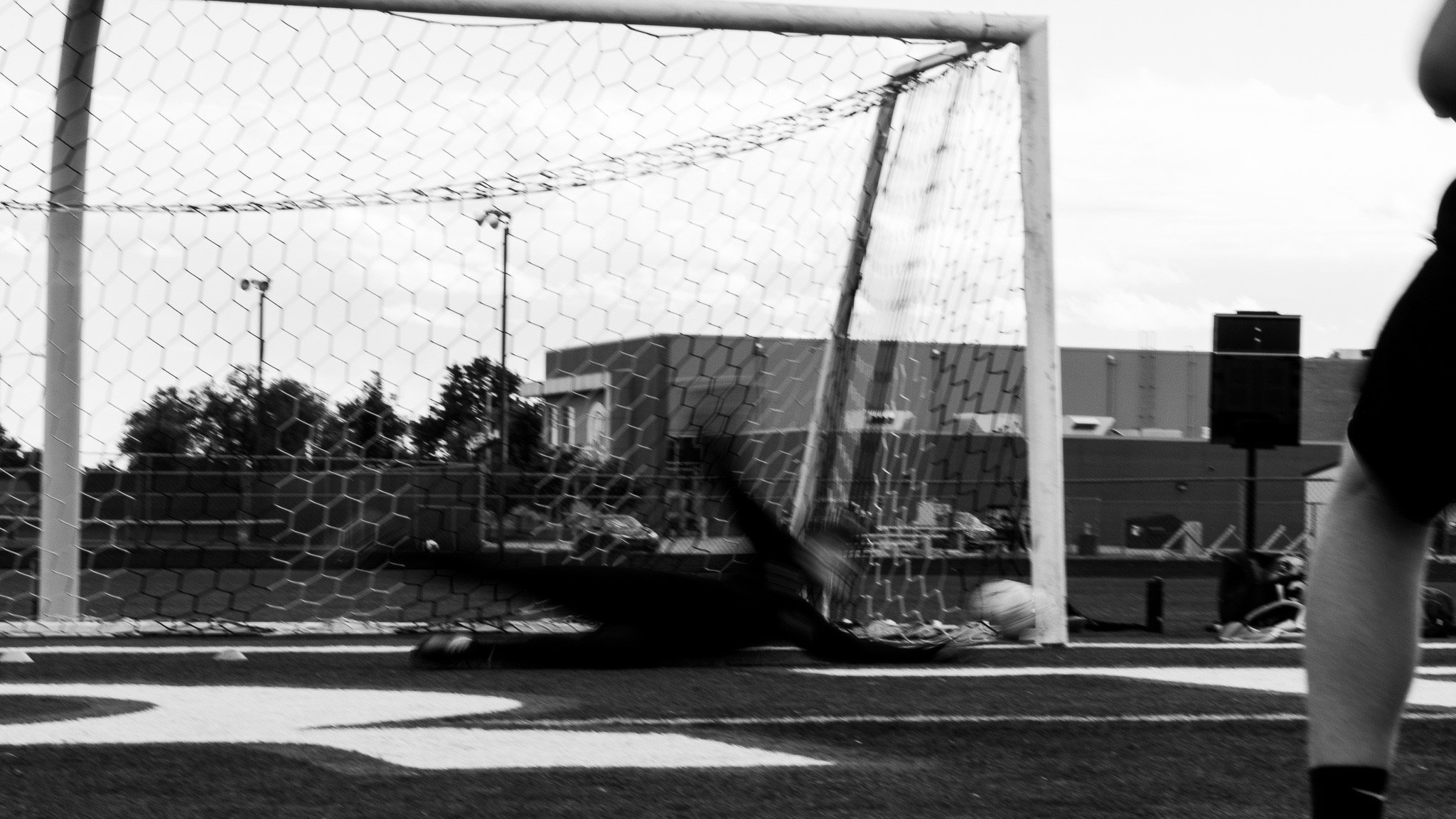 _DSC3376.jpeg
