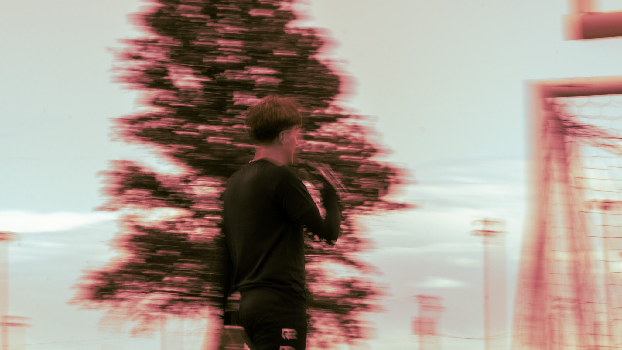 _DSC3384.jpeg