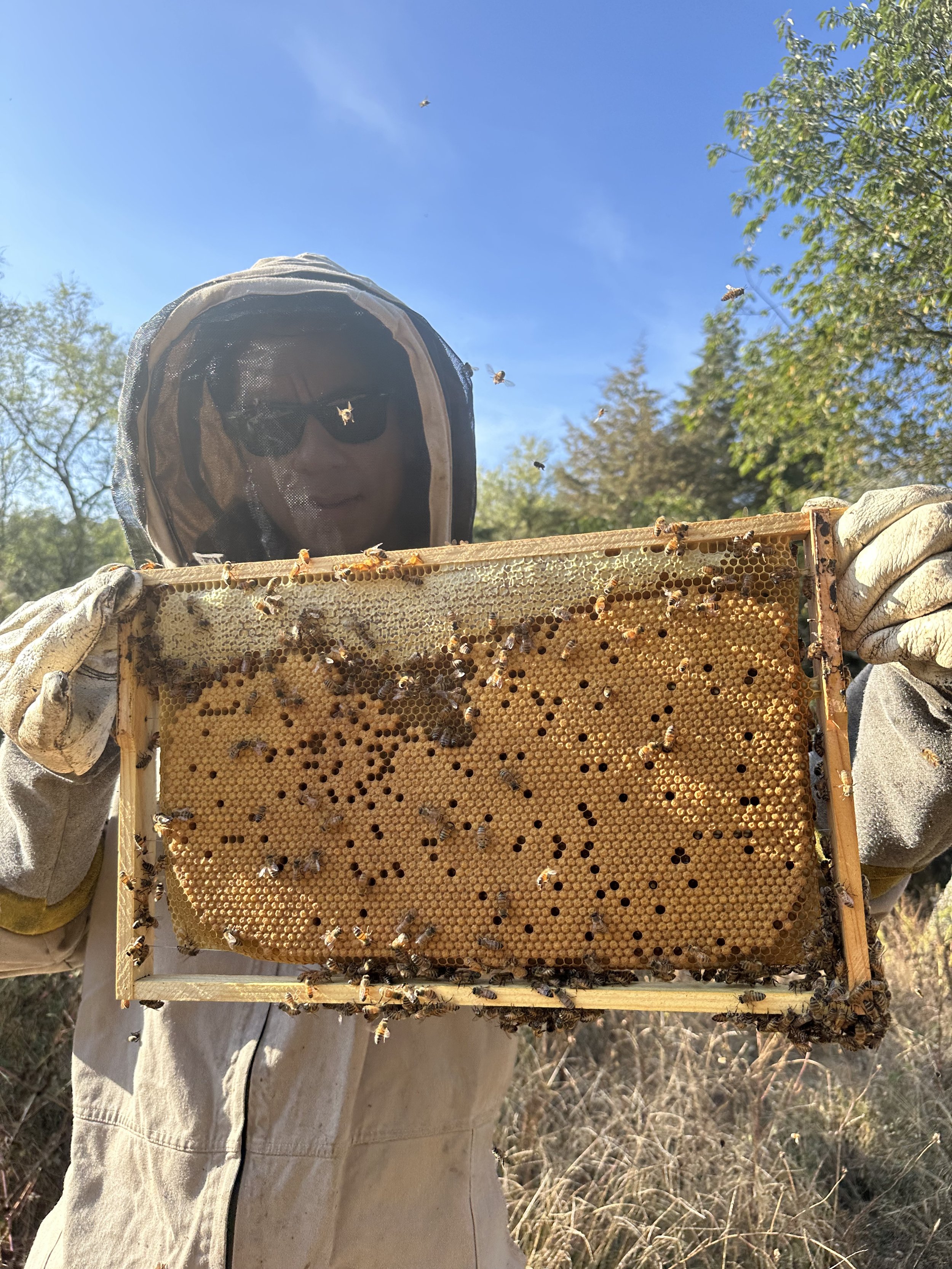Uriel sosteniendo un bastidor de una de nuestras colmenas de abeja