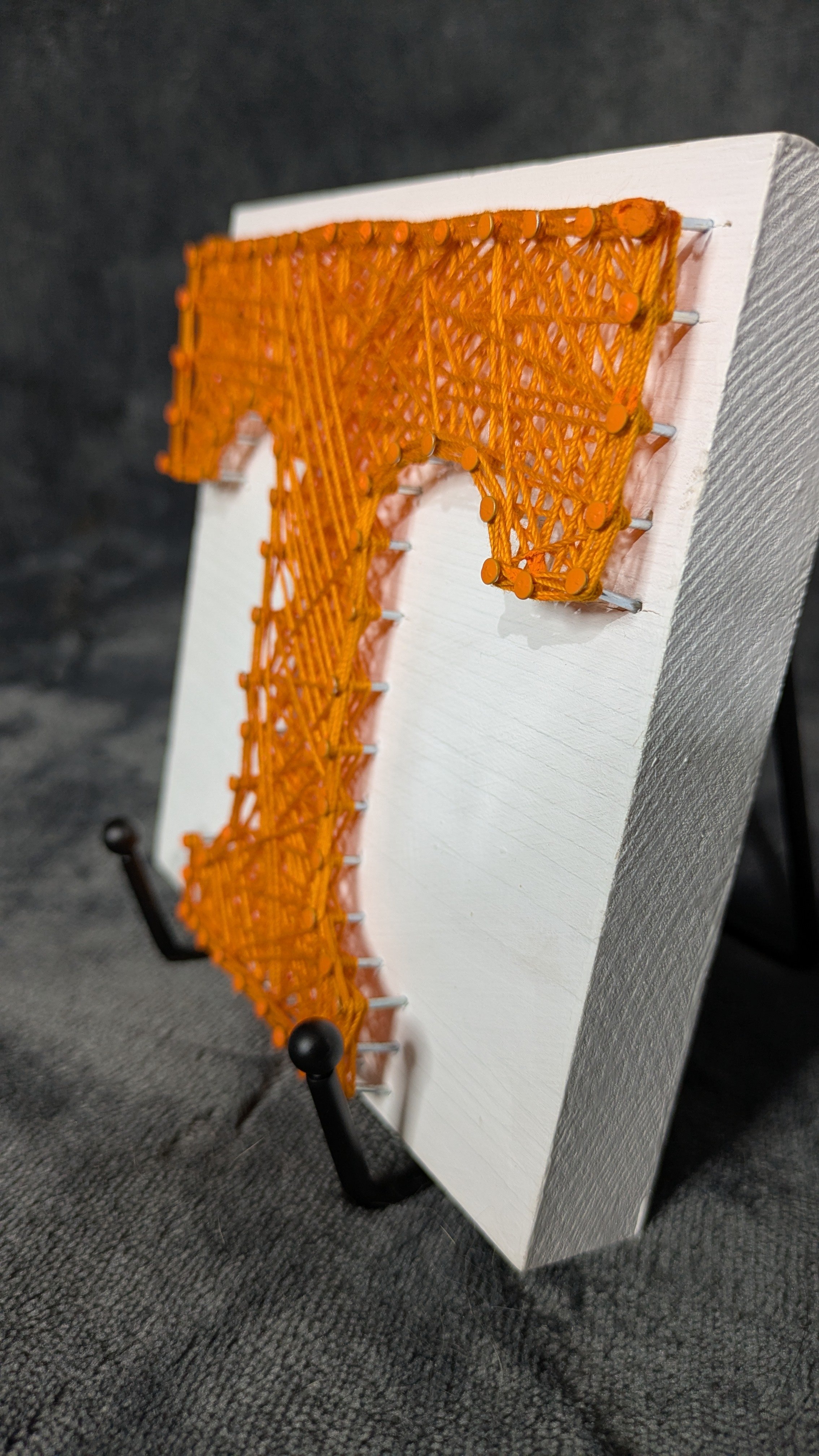 DeeDoesArt+UniversityofTennessee1+5x5 (3).jpg