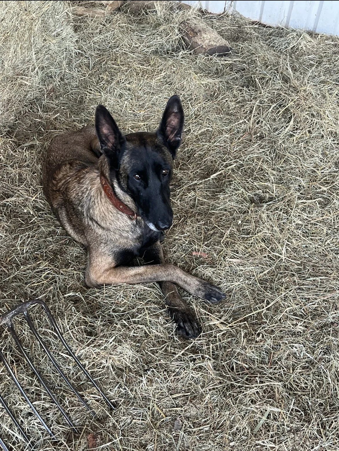 Are We Going Backwards?