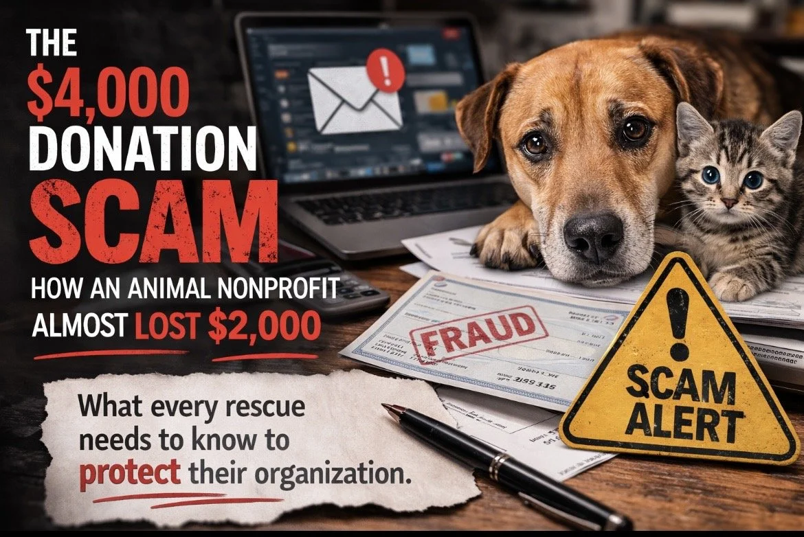 The $4,000 Donation Scam