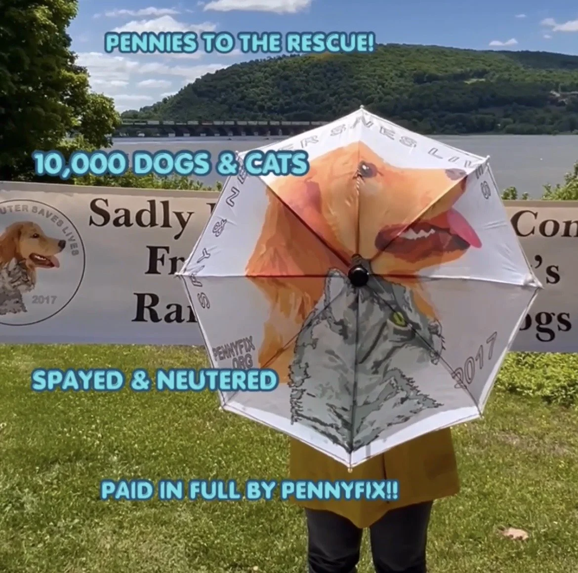 10,000 Dogs &amp; Cats Fixed: A Milestone Worth Celebrating