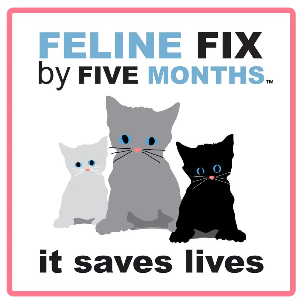5 Fix Grant Application — PennyFix