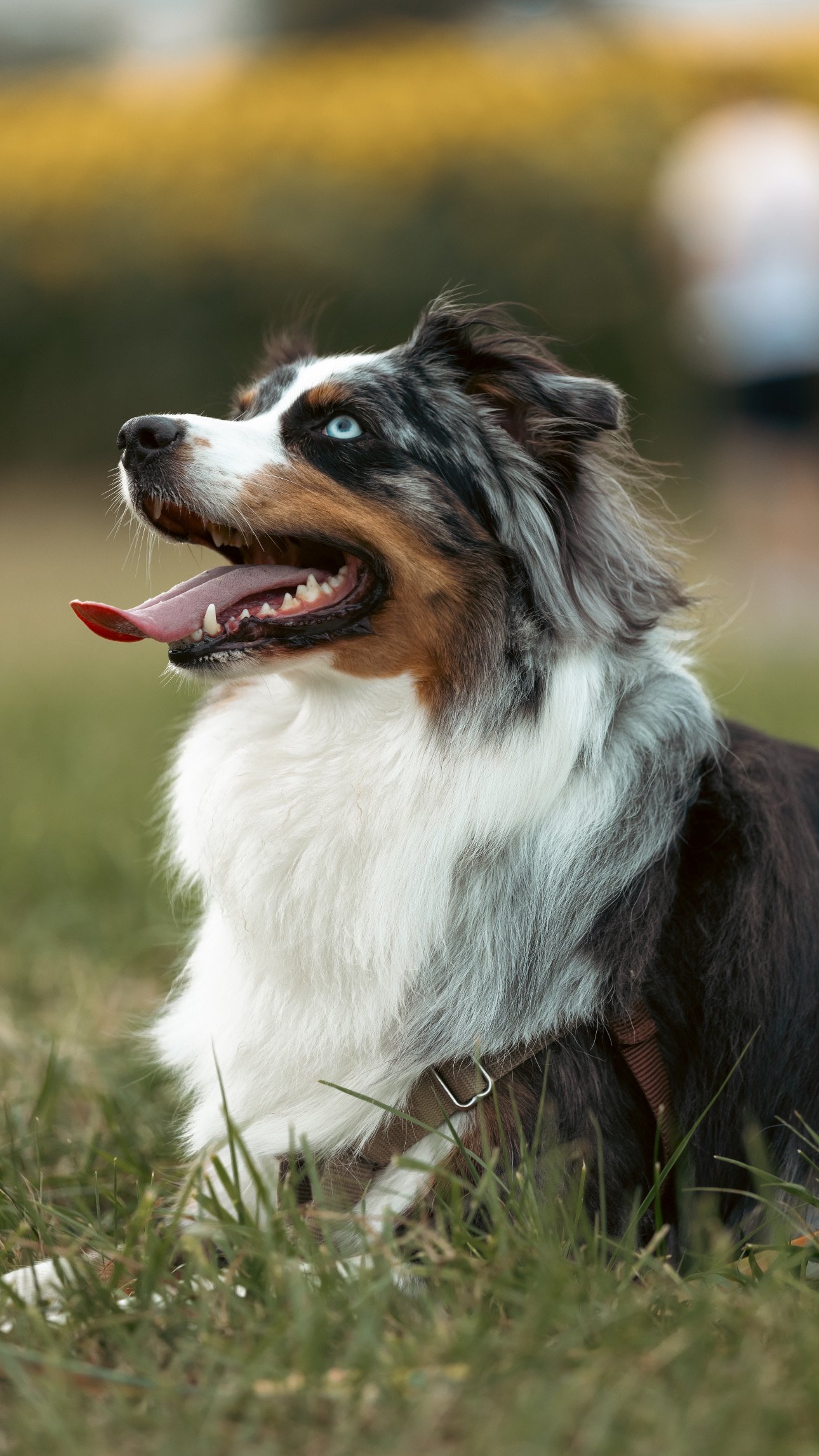 DEF0D65F-D5BA-4765-8A91-9E302D544CC2 2.JPG