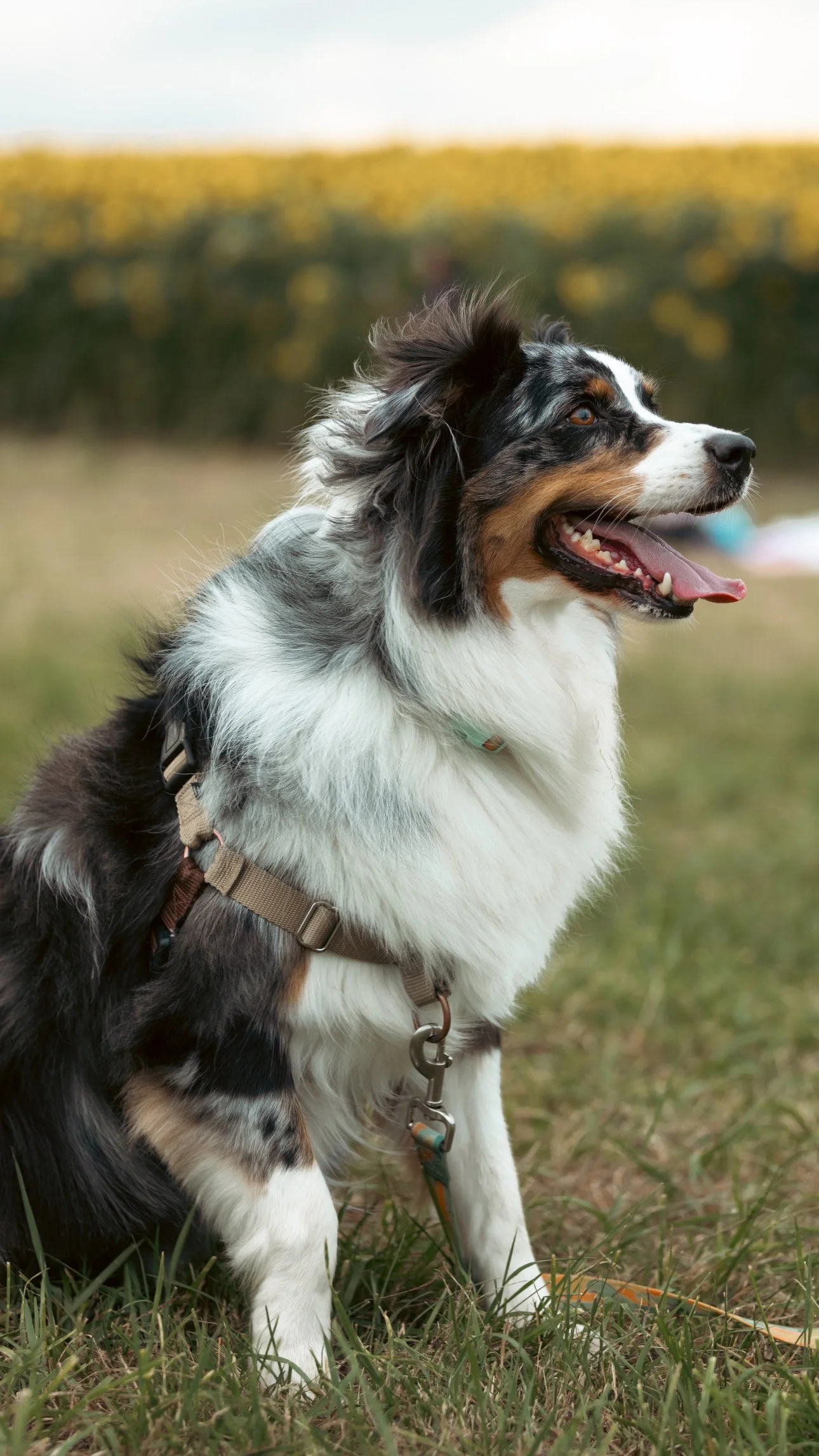 21114575-951F-4DC5-A0F8-FAD2652835F4 4.JPG