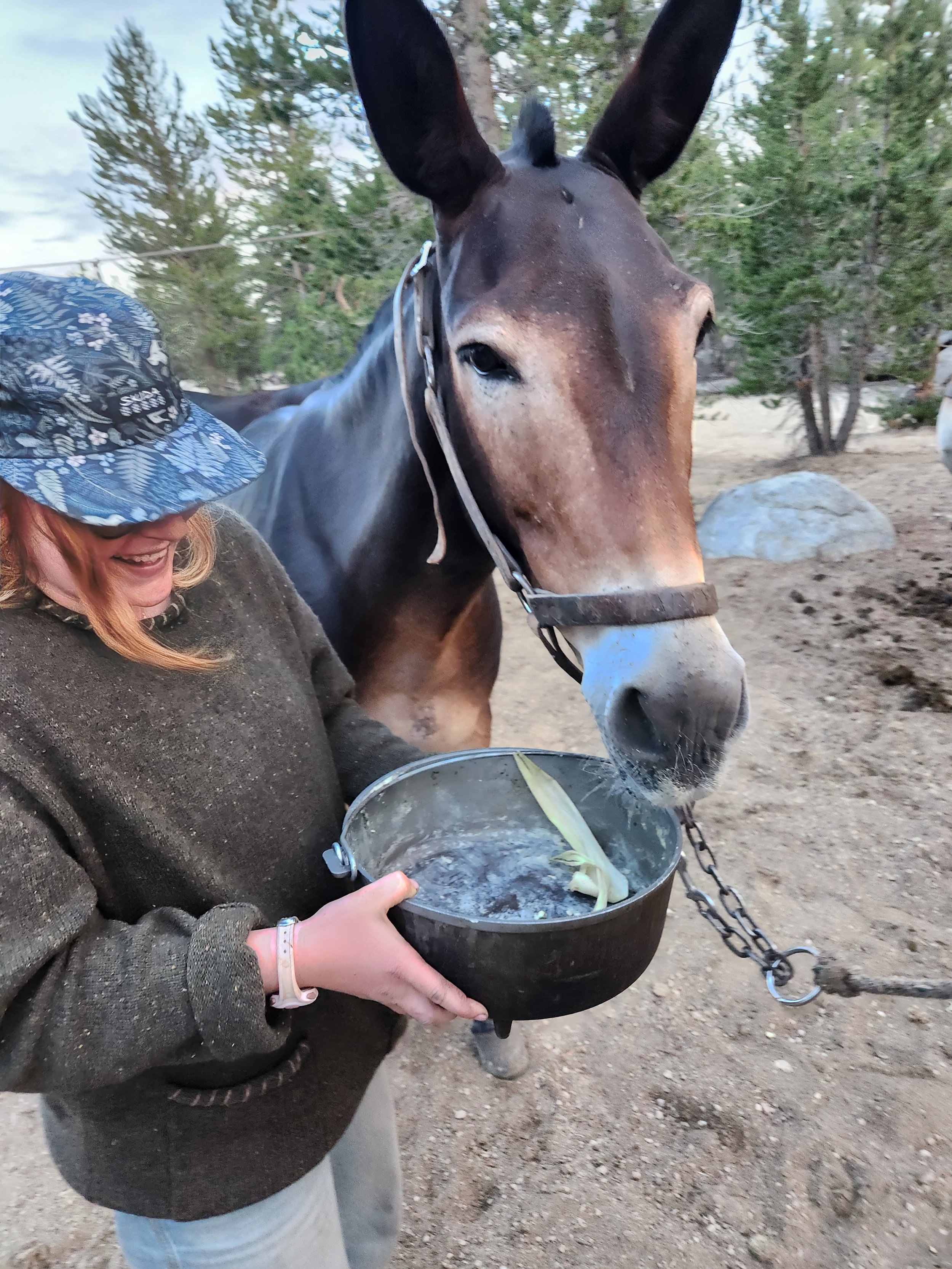 eddy feeding betty .jpg
