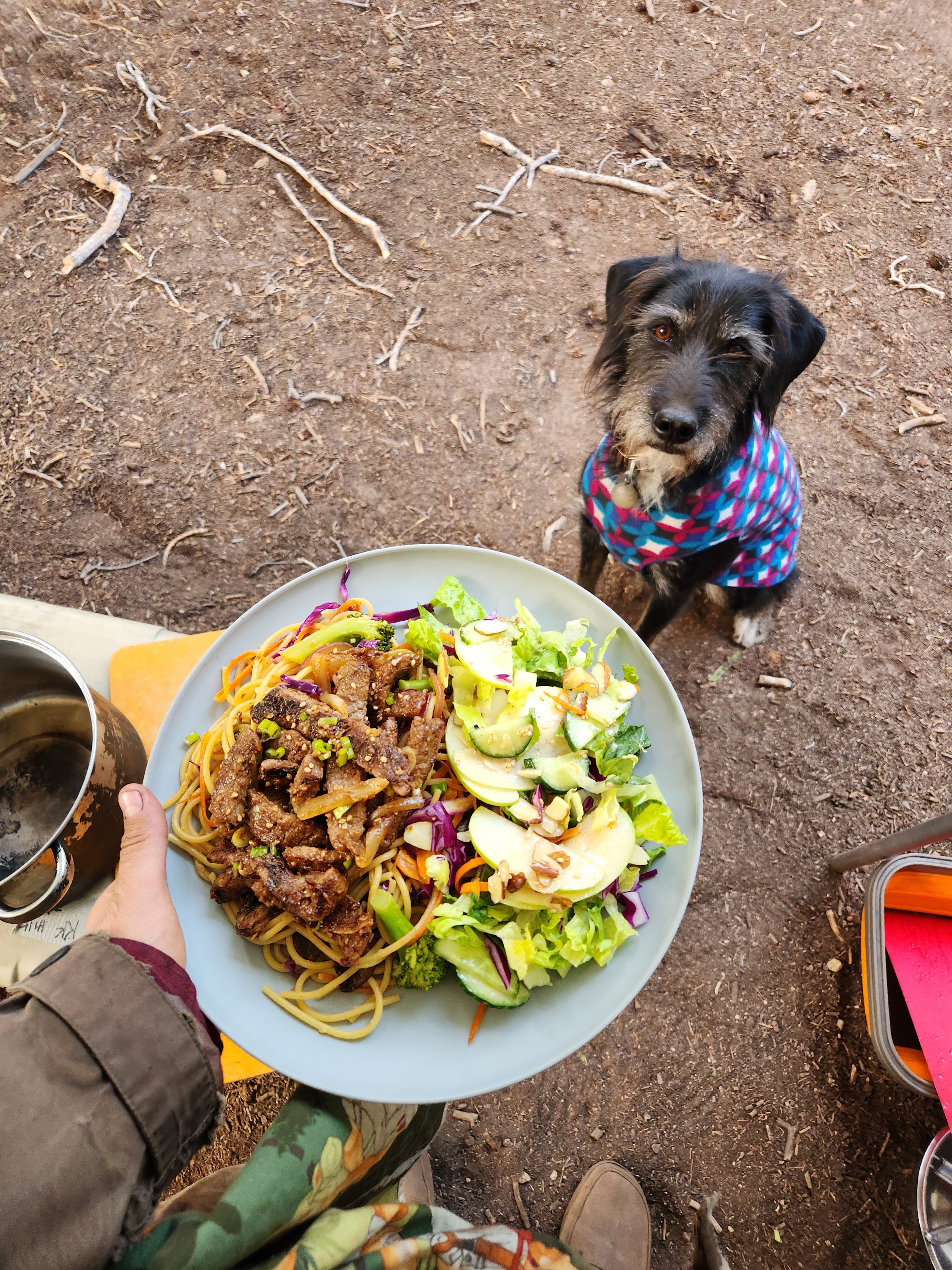 beef lo mein .jpg