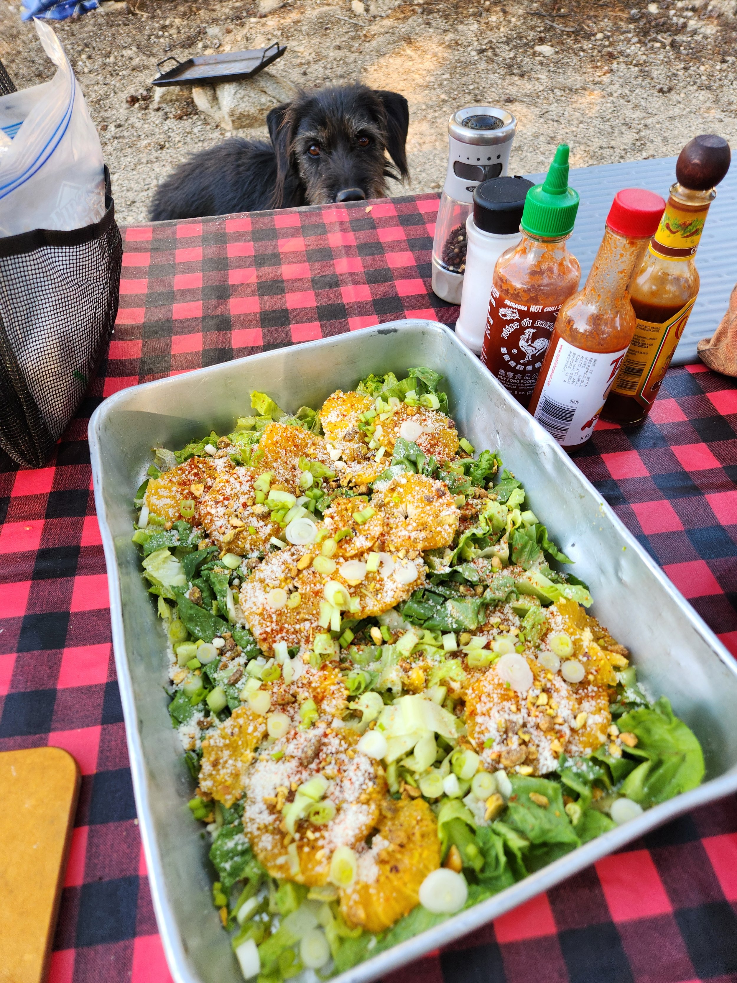 Citrus pistachio salad .jpg