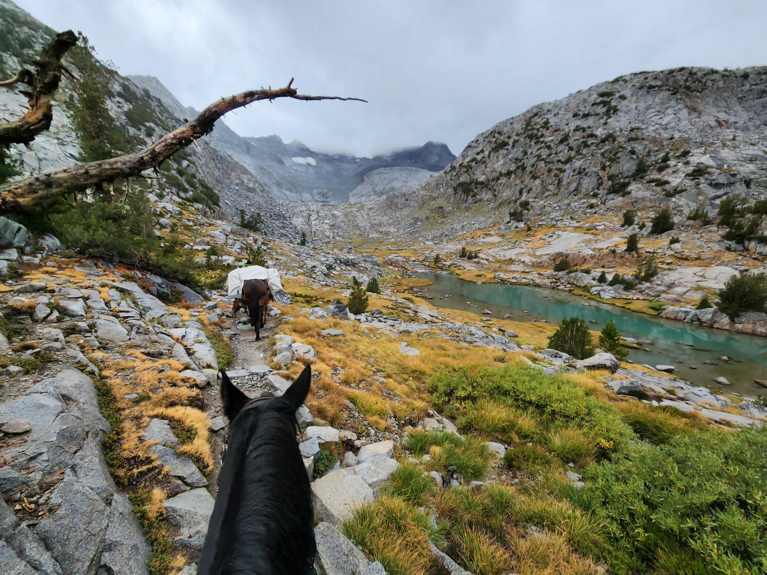 mules jmt Donahue lake .jpg