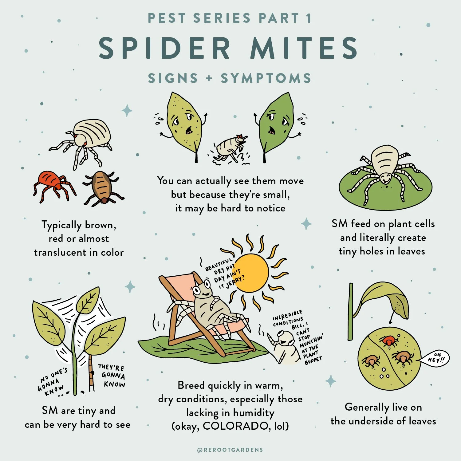 SpiderMitesPost_Slide1.jpg