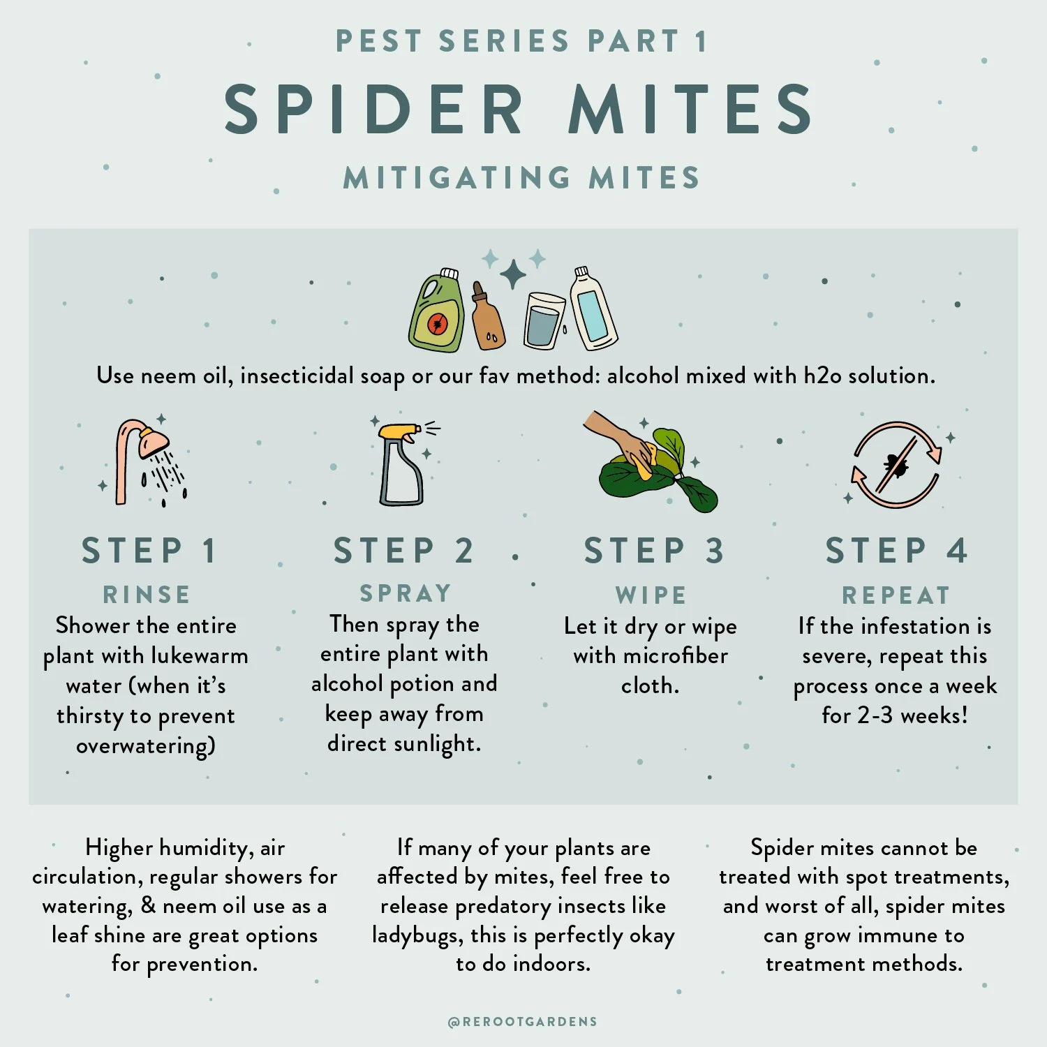 SpiderMitesPost_Slide3.jpg