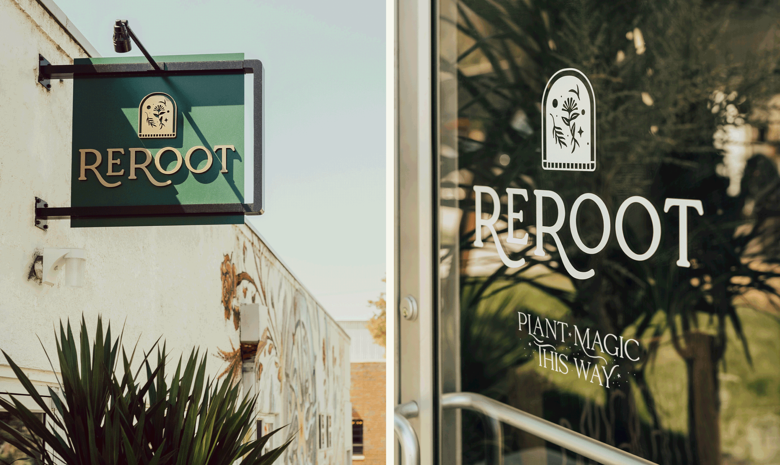 ReRoot_9.jpg