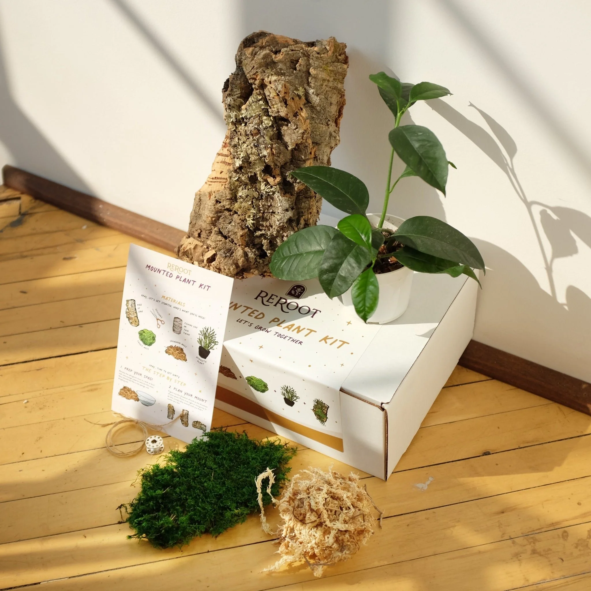 ReRootMountedPlantKit.jpg